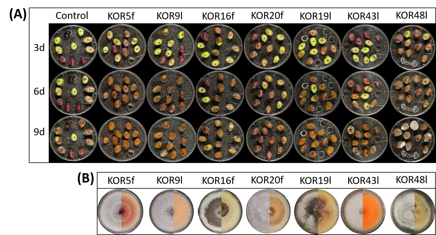 Microorganisms 13 02838 g003 Microorganisms 13 02838 g003
