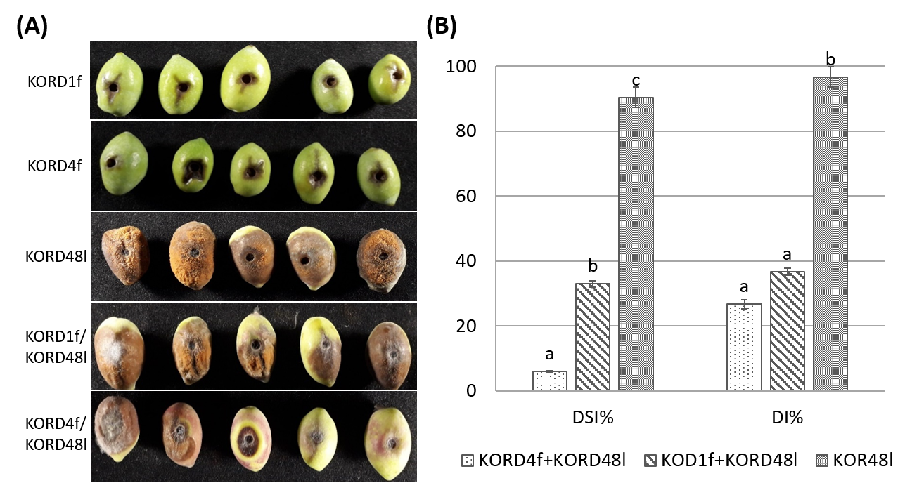 Microorganisms 13 02838 g008 Microorganisms 13 02838 g008