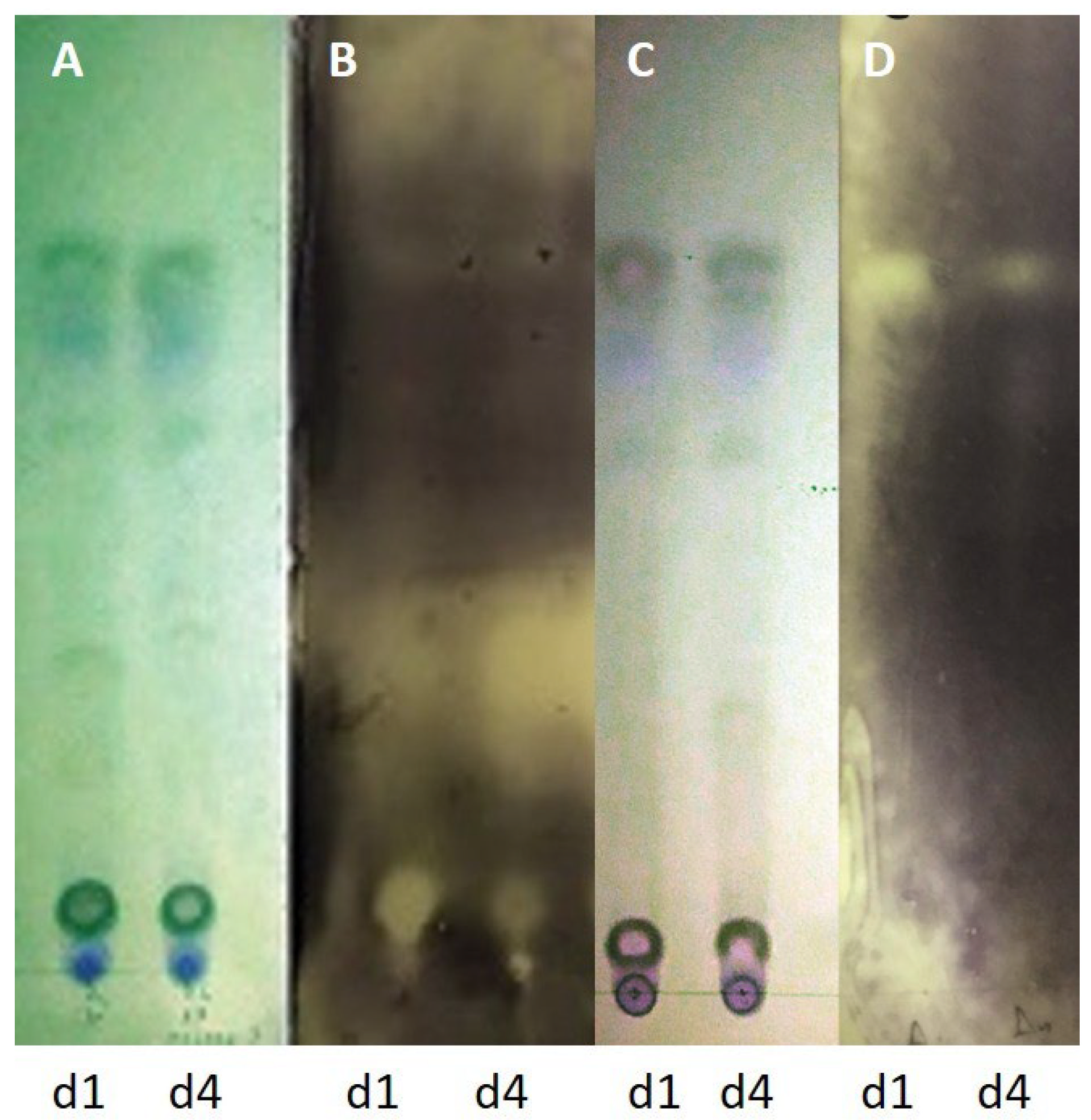 Microorganisms 13 02838 g009 Microorganisms 13 02838 g009