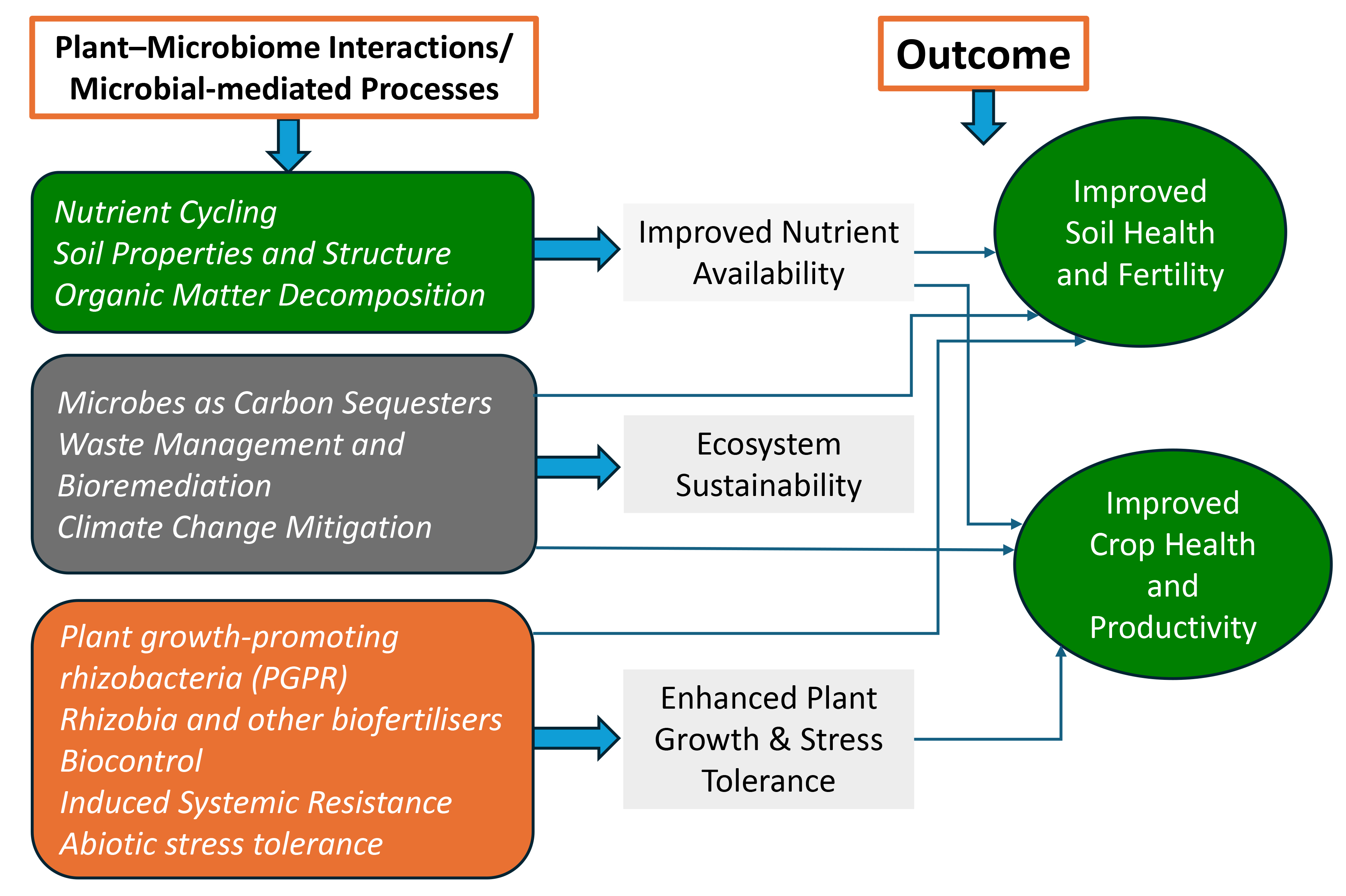 Microorganisms 13 02839 g001 Microorganisms 13 02839 g001