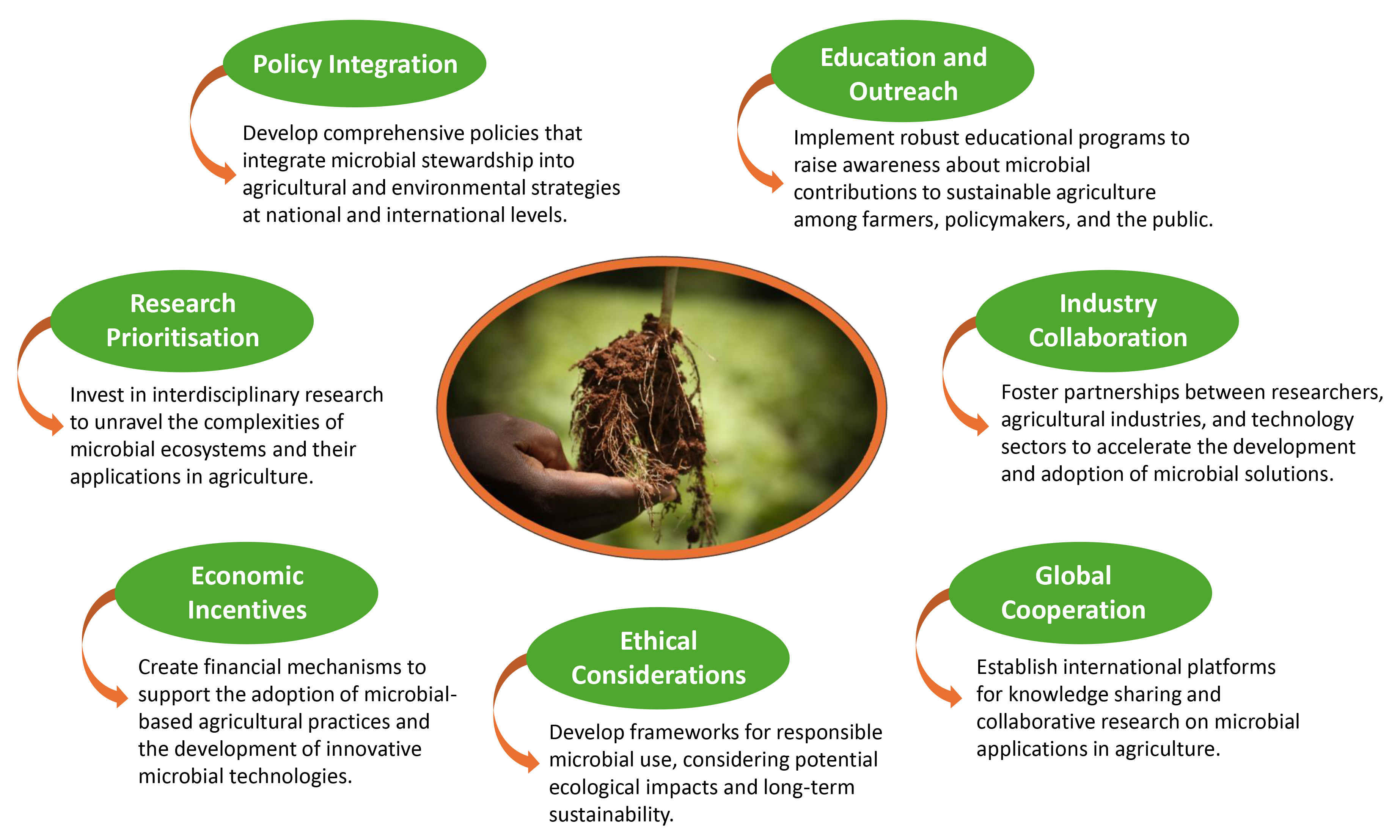 Microorganisms 13 02839 g004 Microorganisms 13 02839 g004