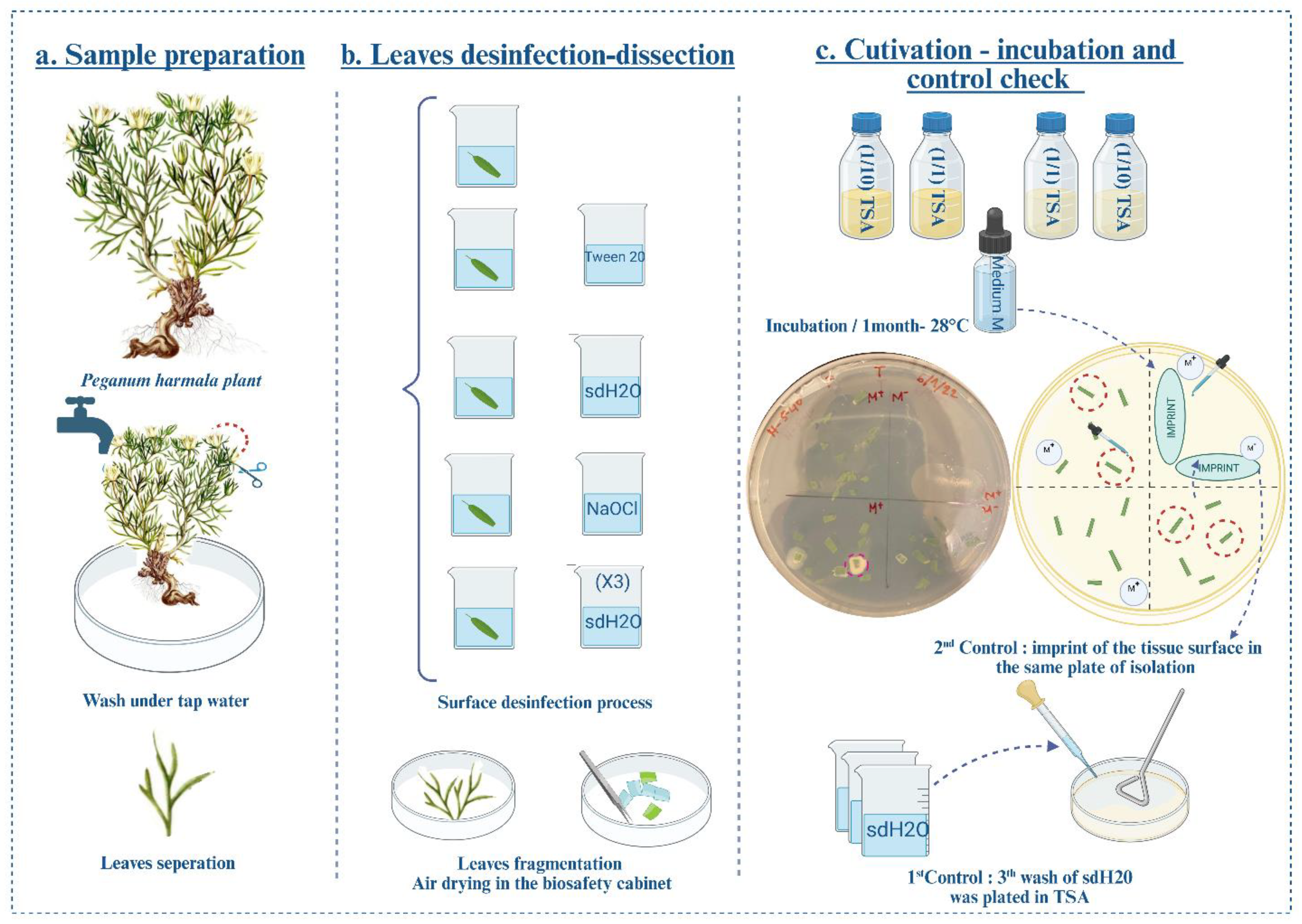 Microorganisms 13 02843 g002 Microorganisms 13 02843 g002