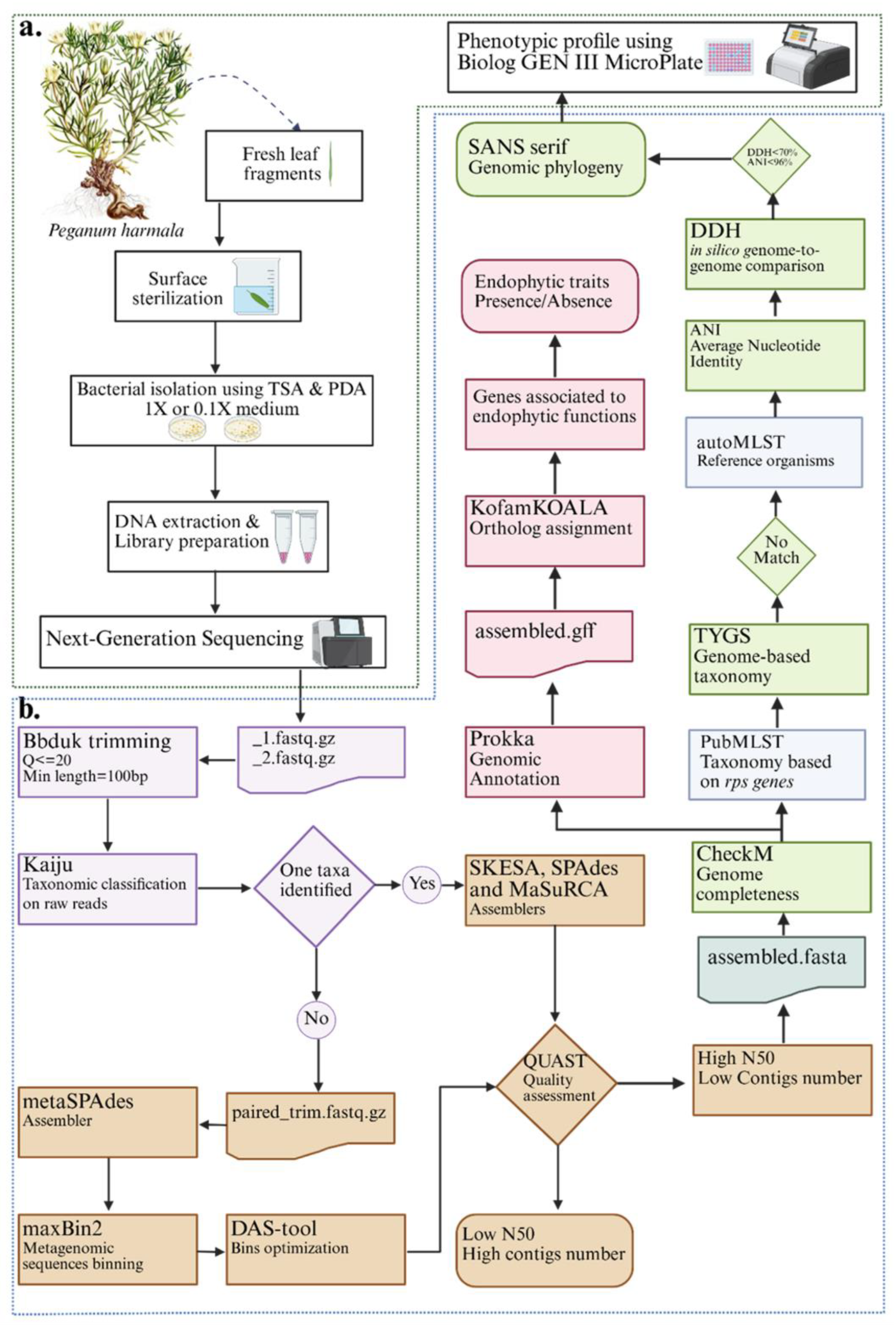 Microorganisms 13 02843 g003 Microorganisms 13 02843 g003