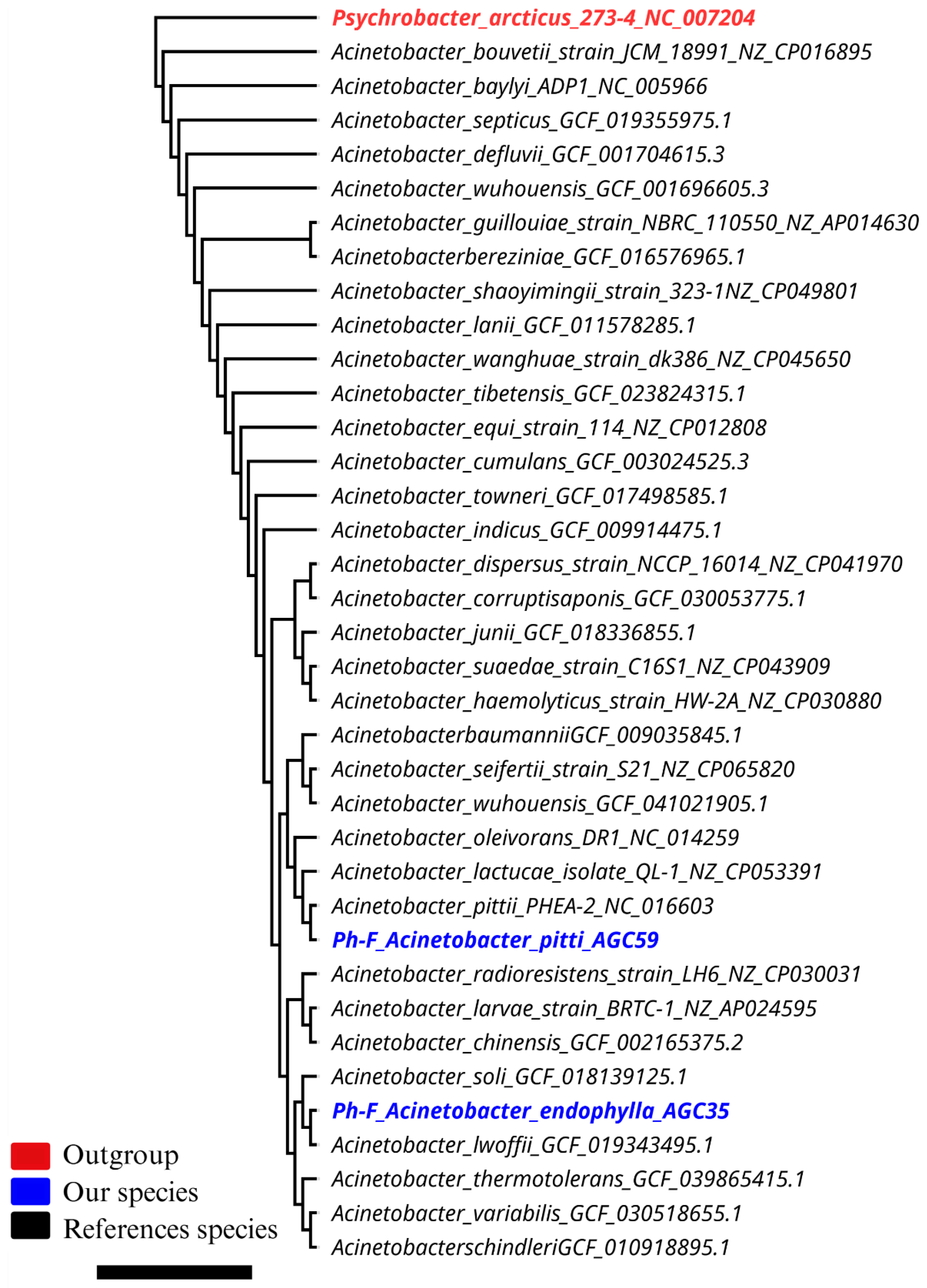 Microorganisms 13 02843 g005 Microorganisms 13 02843 g005