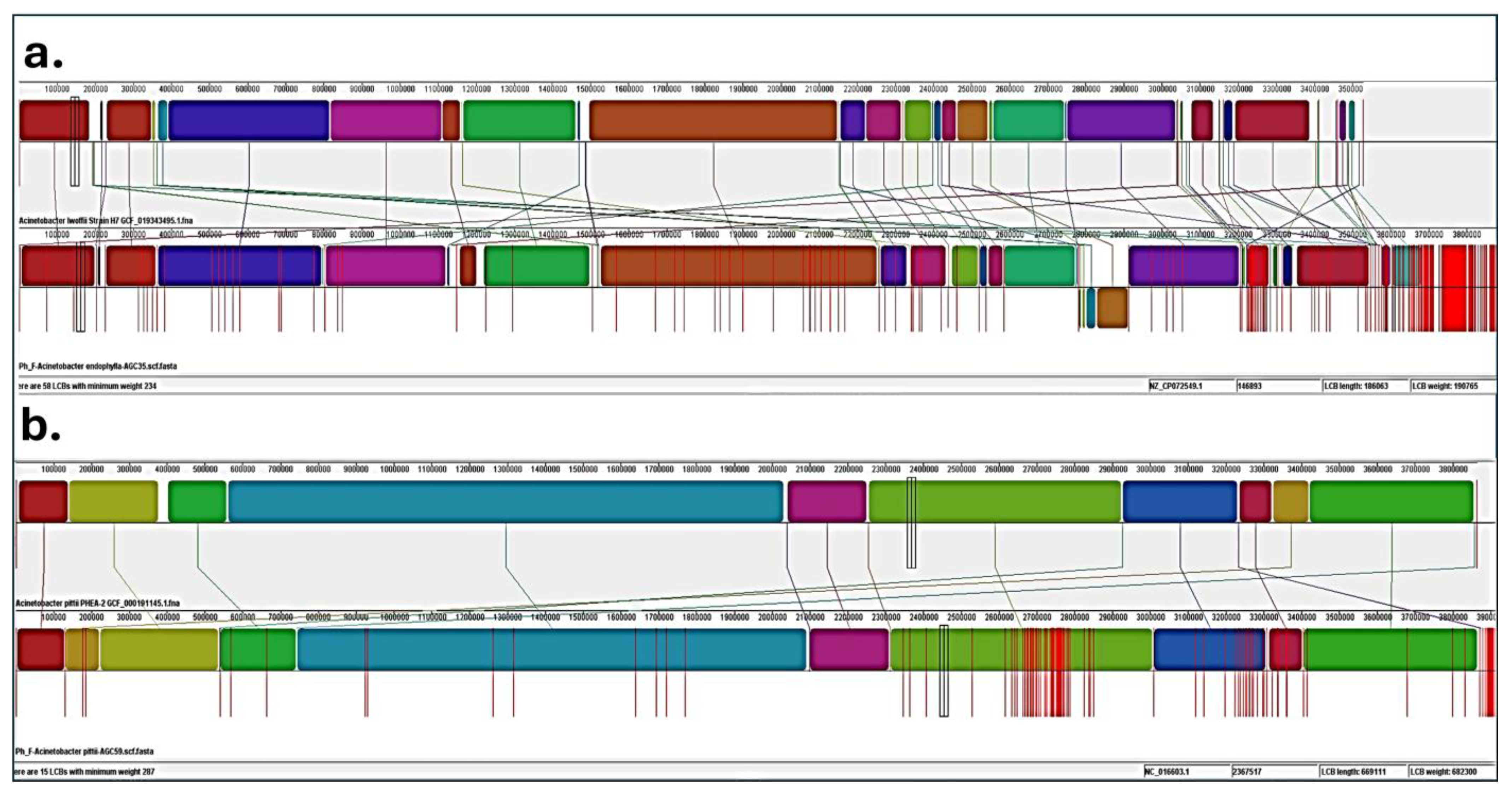 Microorganisms 13 02843 g006 Microorganisms 13 02843 g006