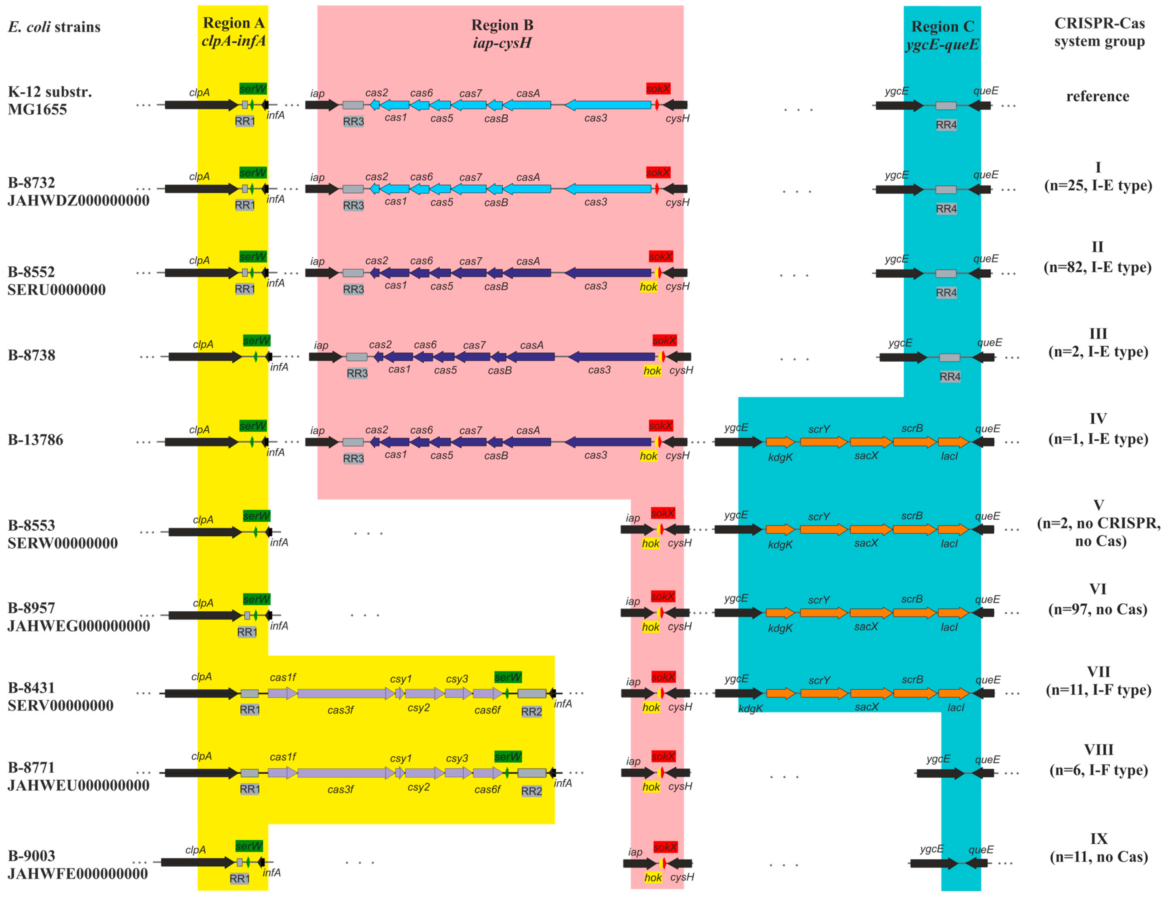 Microorganisms 13 02846 g001