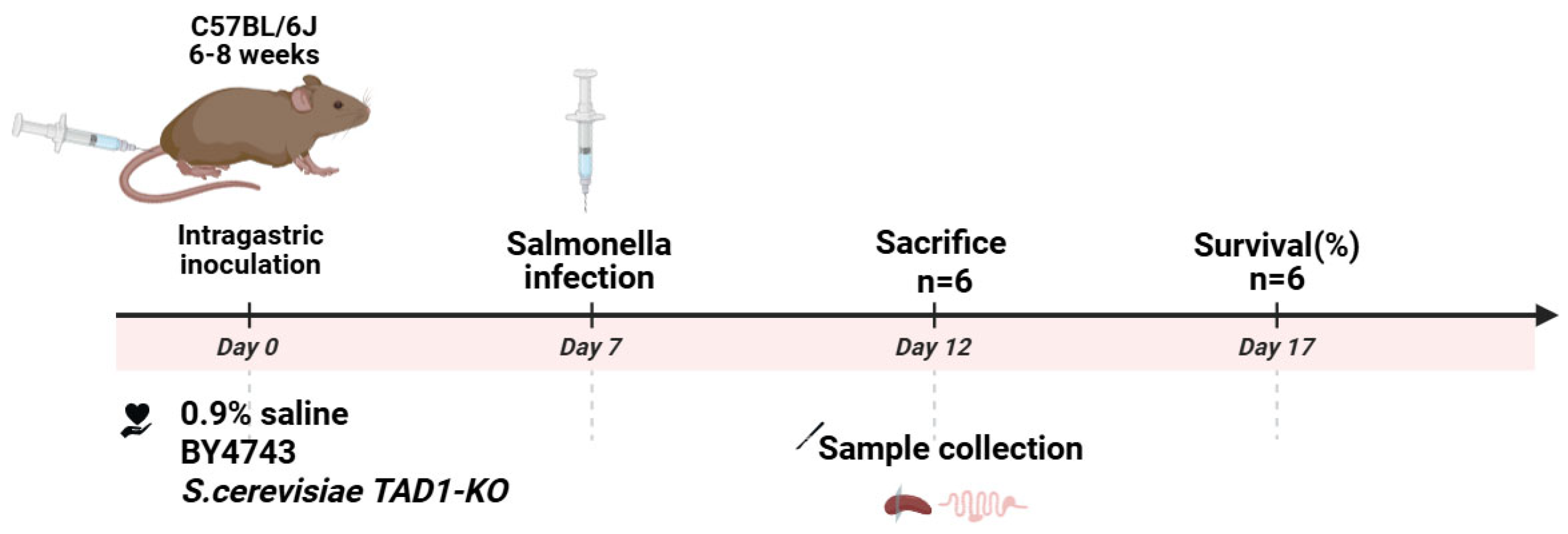 Microorganisms 13 02848 g001