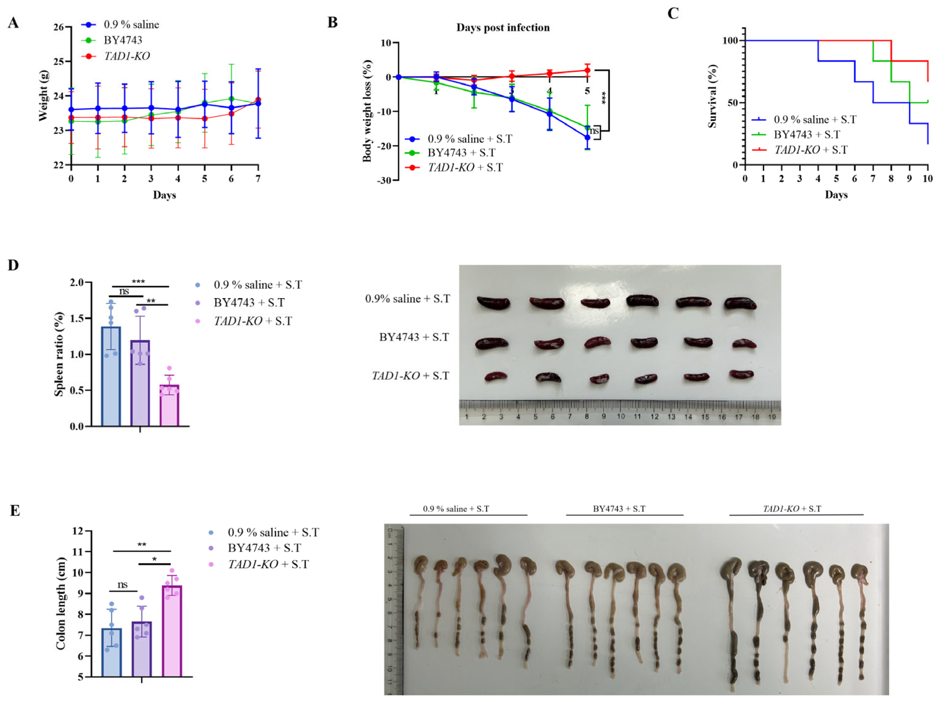 Microorganisms 13 02848 g010a