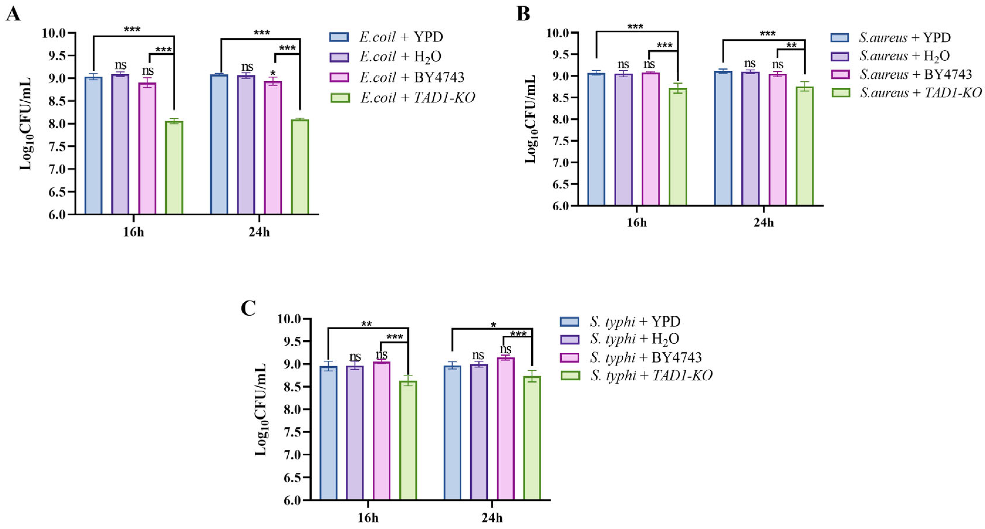 Microorganisms 13 02848 g011
