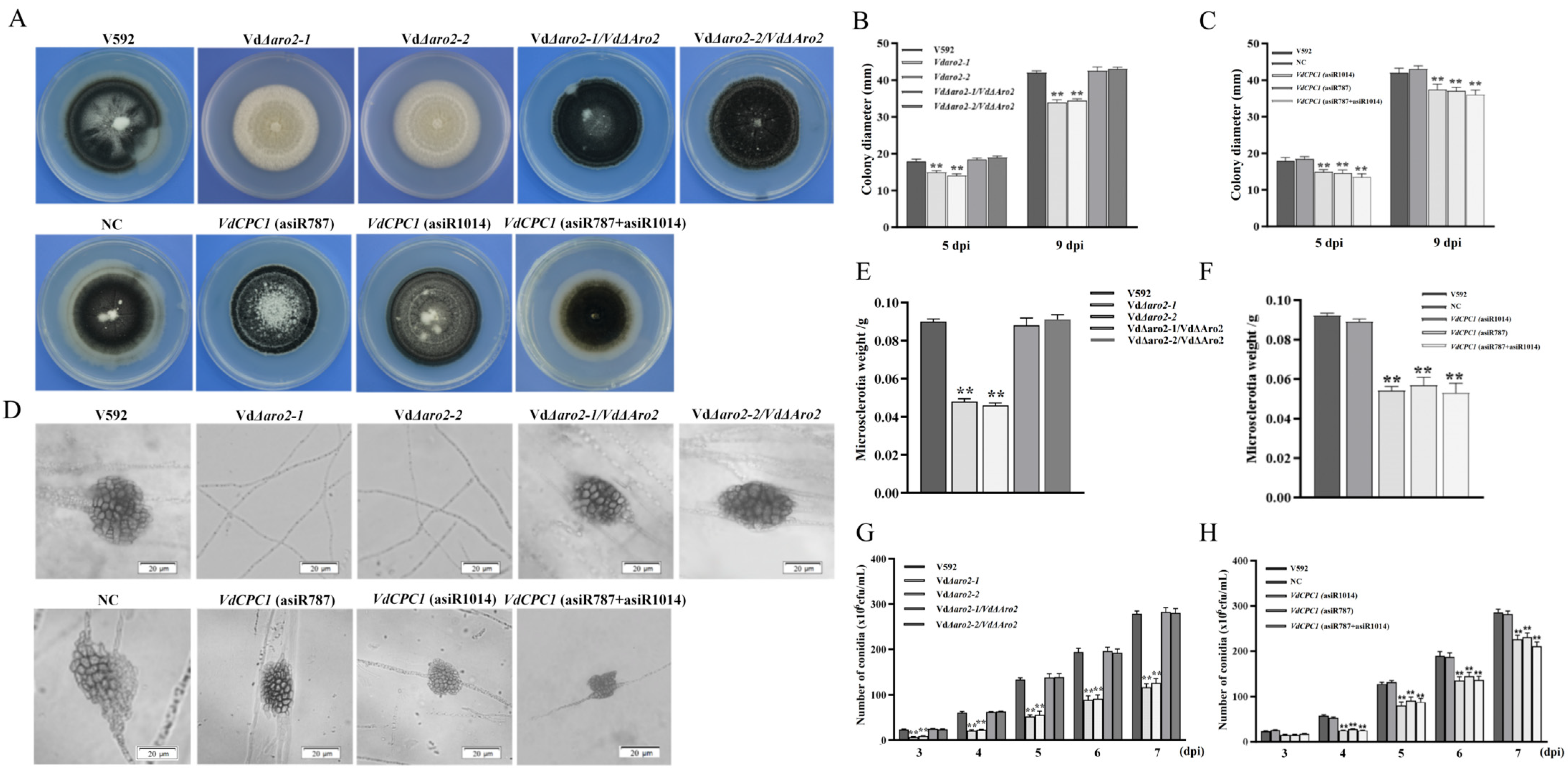 Microorganisms 13 02852 g002