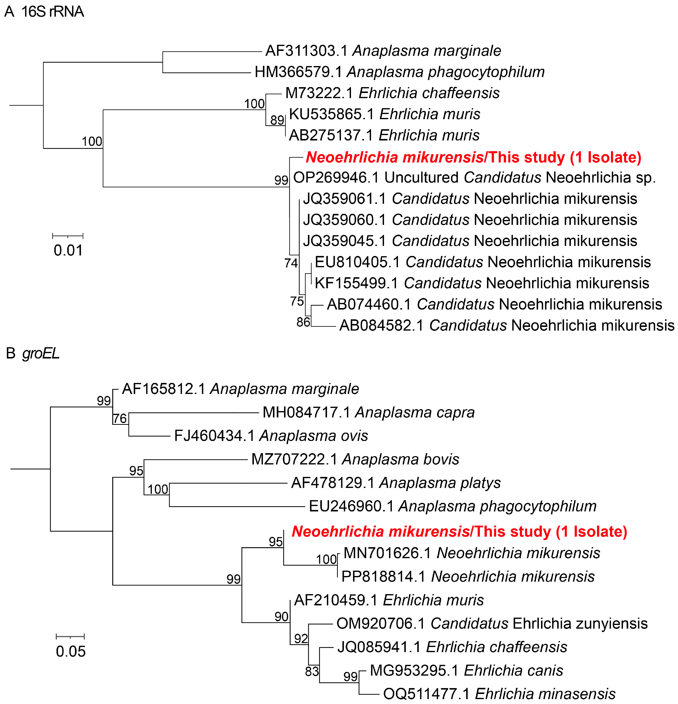 Microorganisms 13 02862 g003
