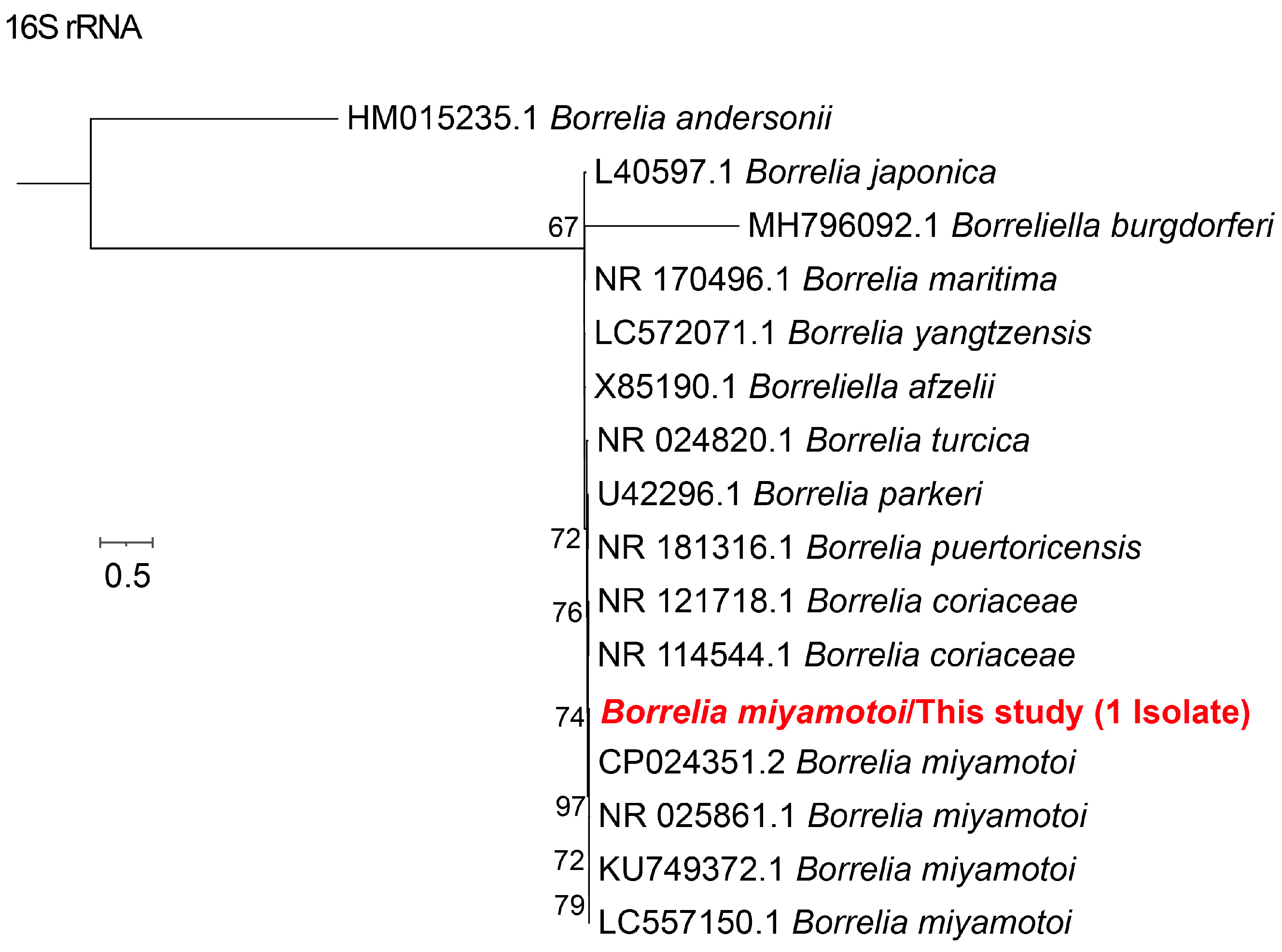 Microorganisms 13 02862 g005