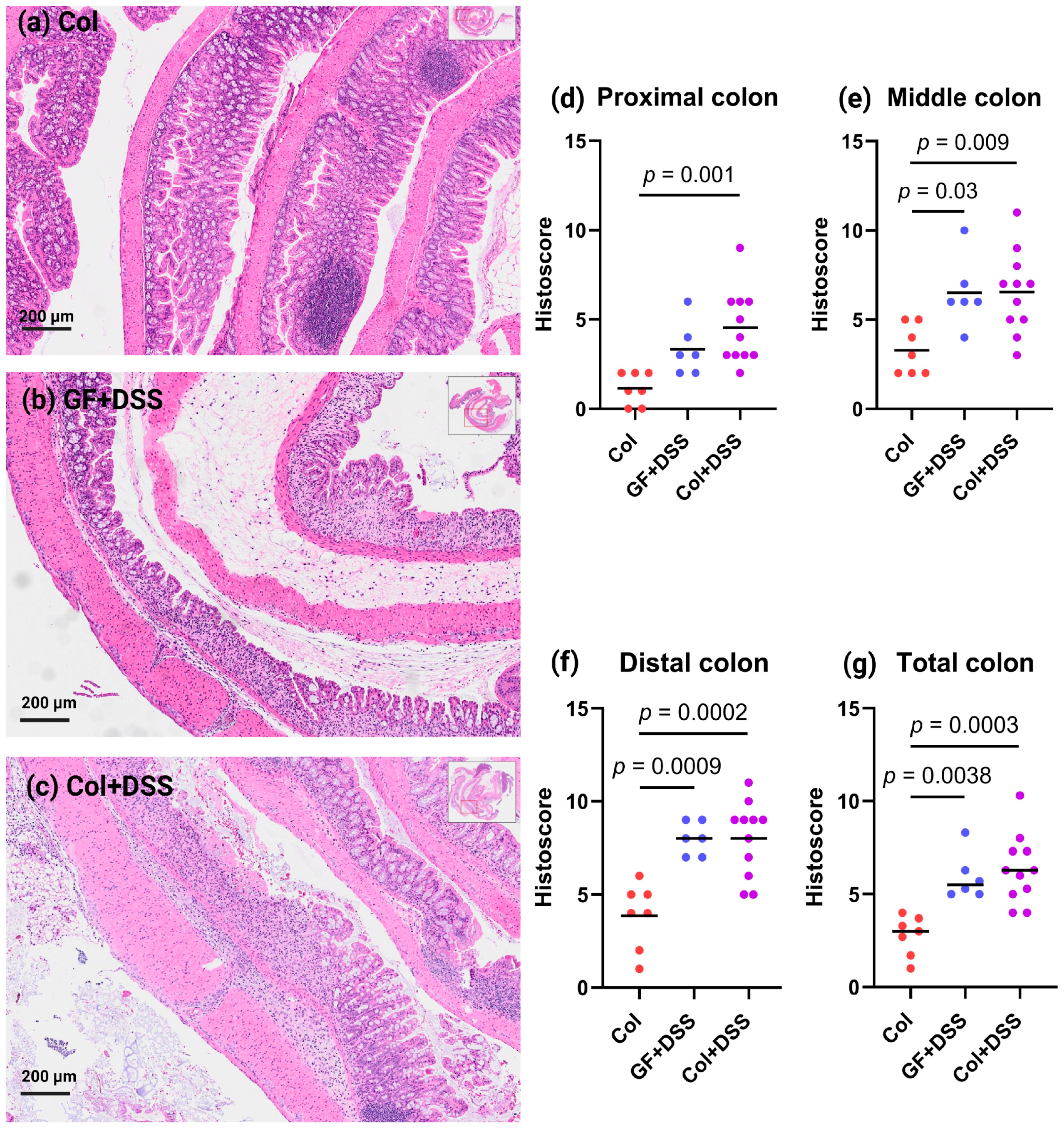 Microorganisms 13 02864 g003 Microorganisms 13 02864 g003