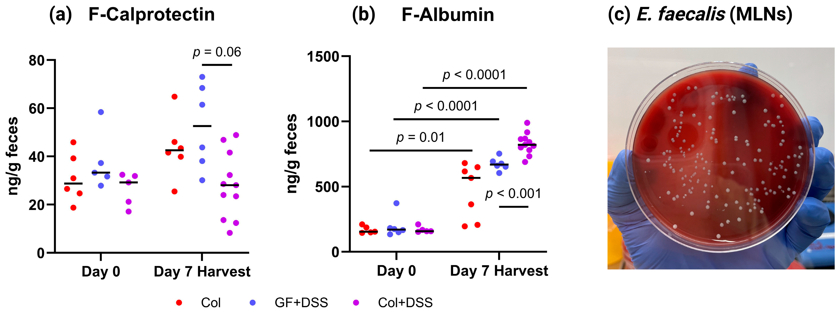Microorganisms 13 02864 g004 Microorganisms 13 02864 g004