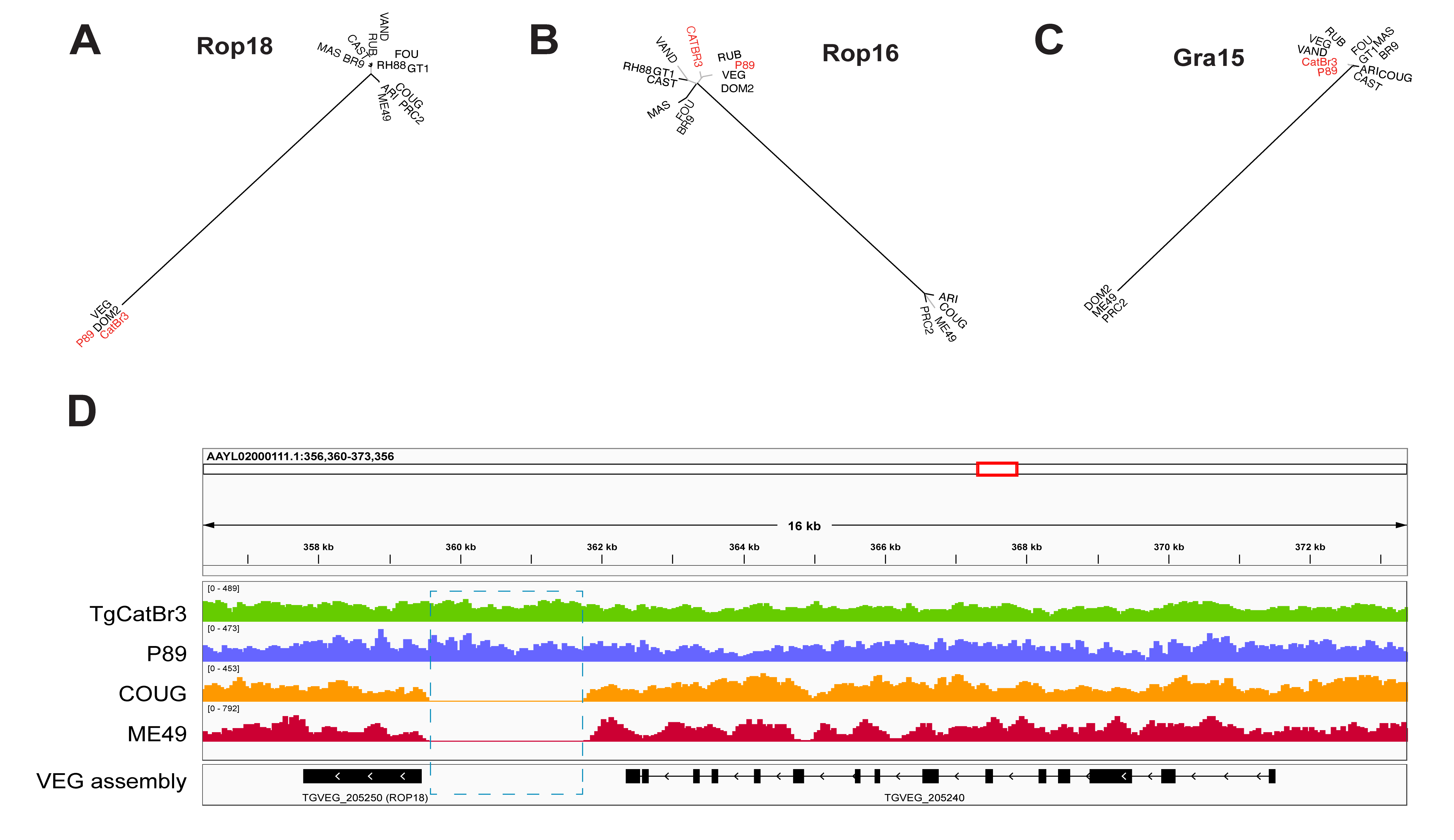 Microorganisms 13 02865 g007 Microorganisms 13 02865 g007
