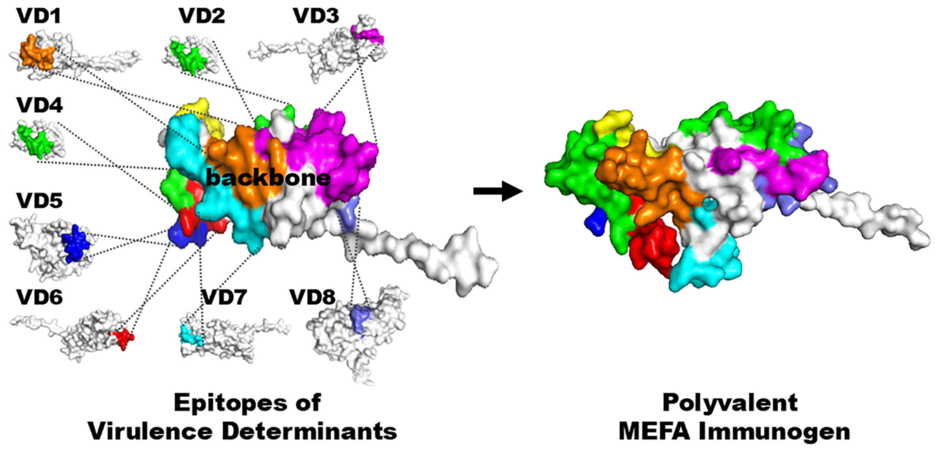 Microorganisms 13 02866 g001 Microorganisms 13 02866 g001
