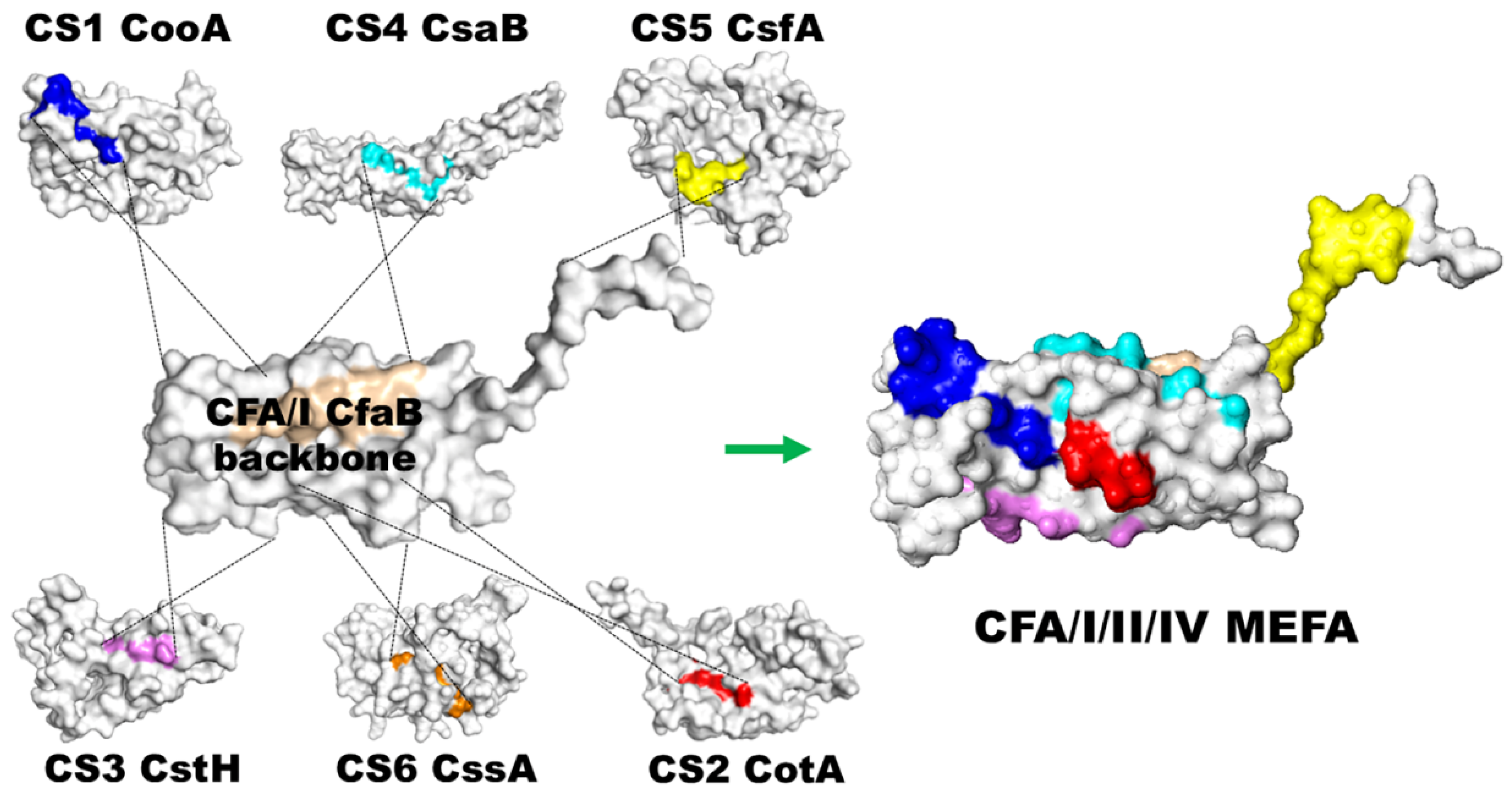 Microorganisms 13 02866 g002 Microorganisms 13 02866 g002