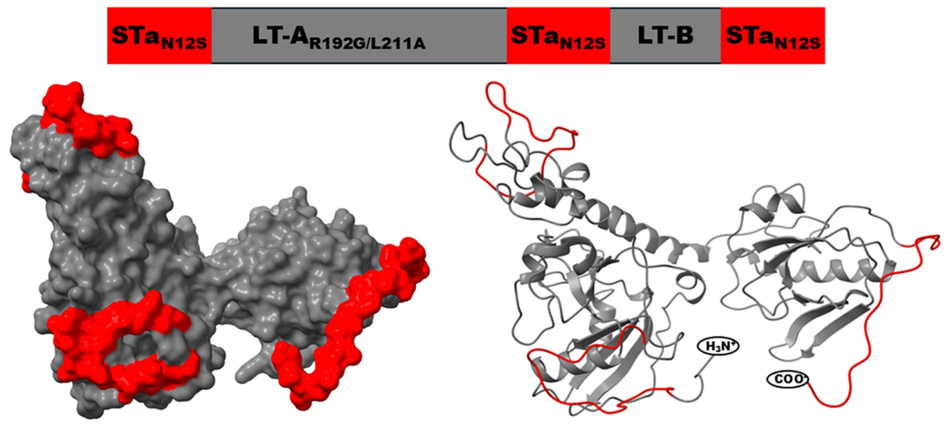Microorganisms 13 02866 g003 Microorganisms 13 02866 g003