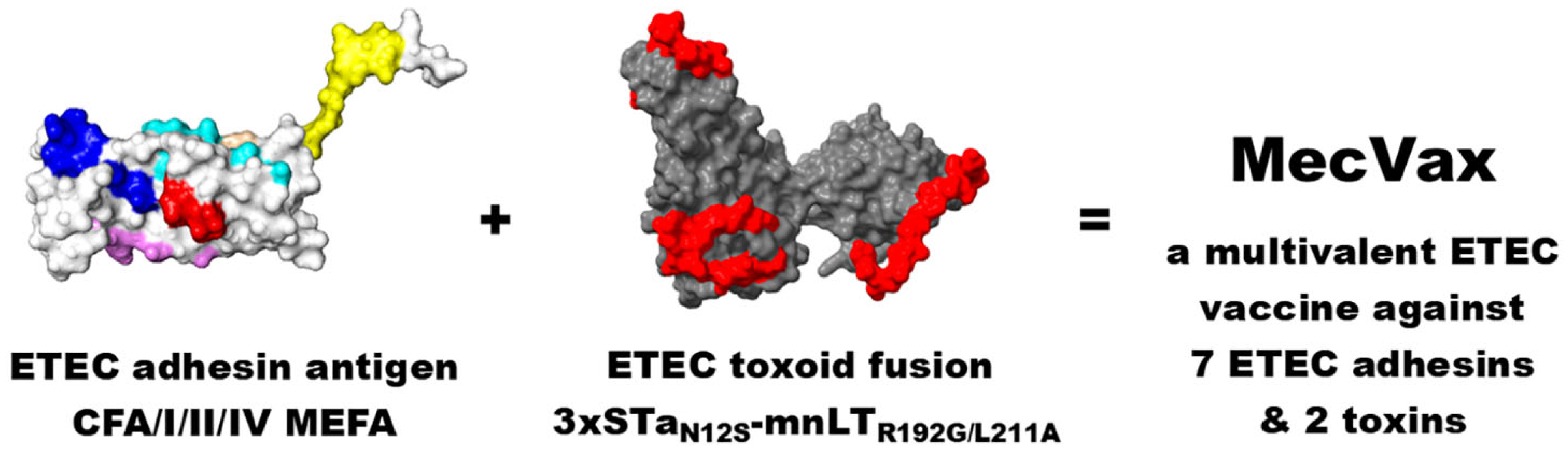 Microorganisms 13 02866 g004 Microorganisms 13 02866 g004