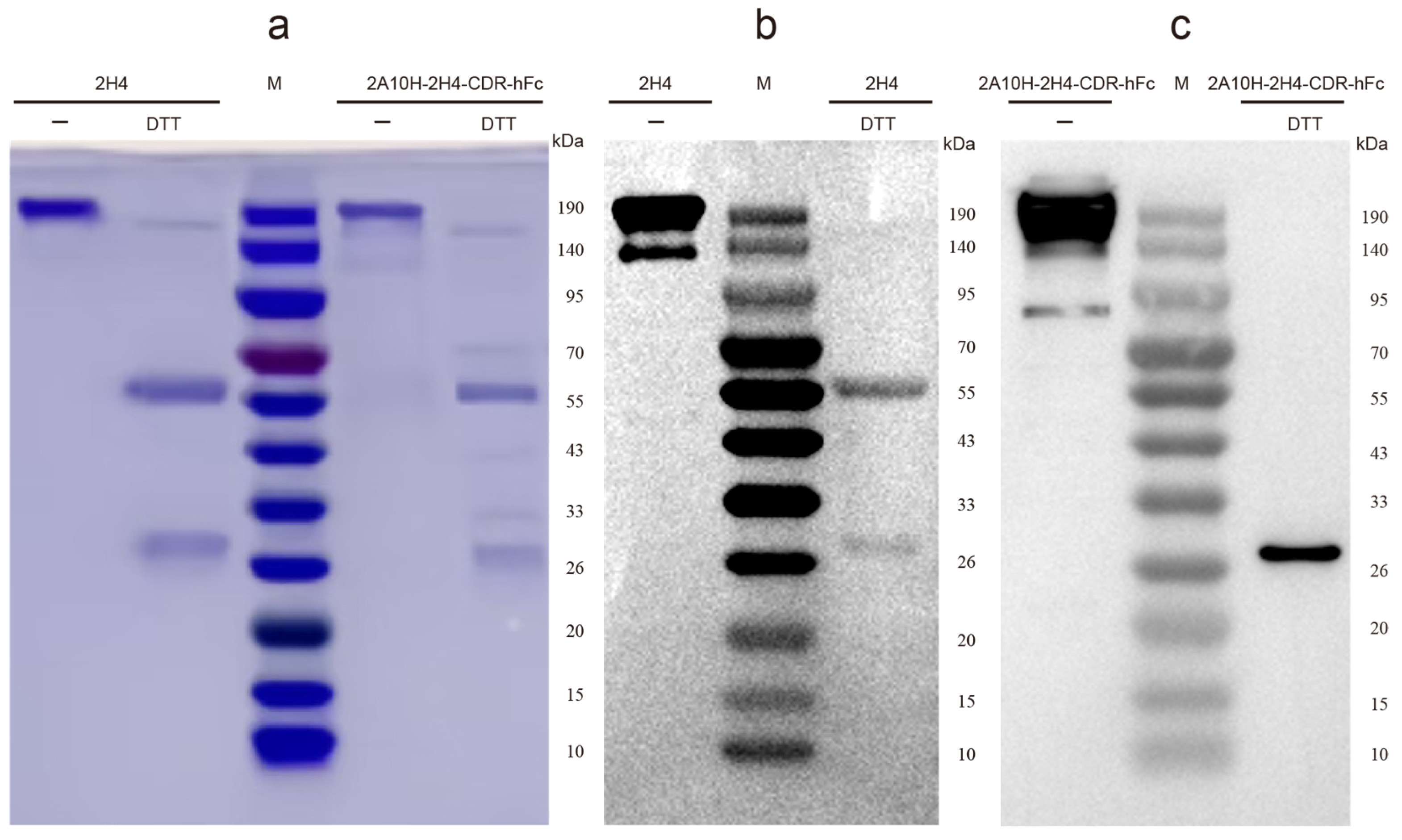 Microorganisms 13 02868 g002 Microorganisms 13 02868 g002