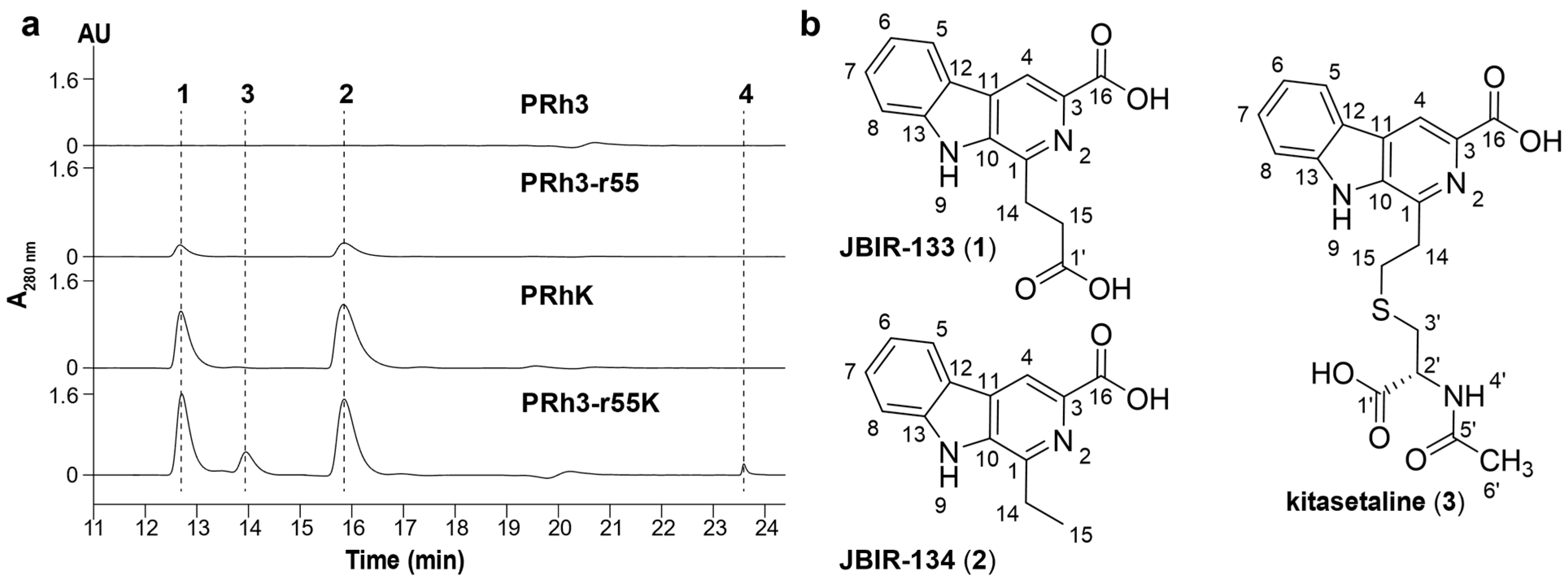 Microorganisms 13 02871 g002