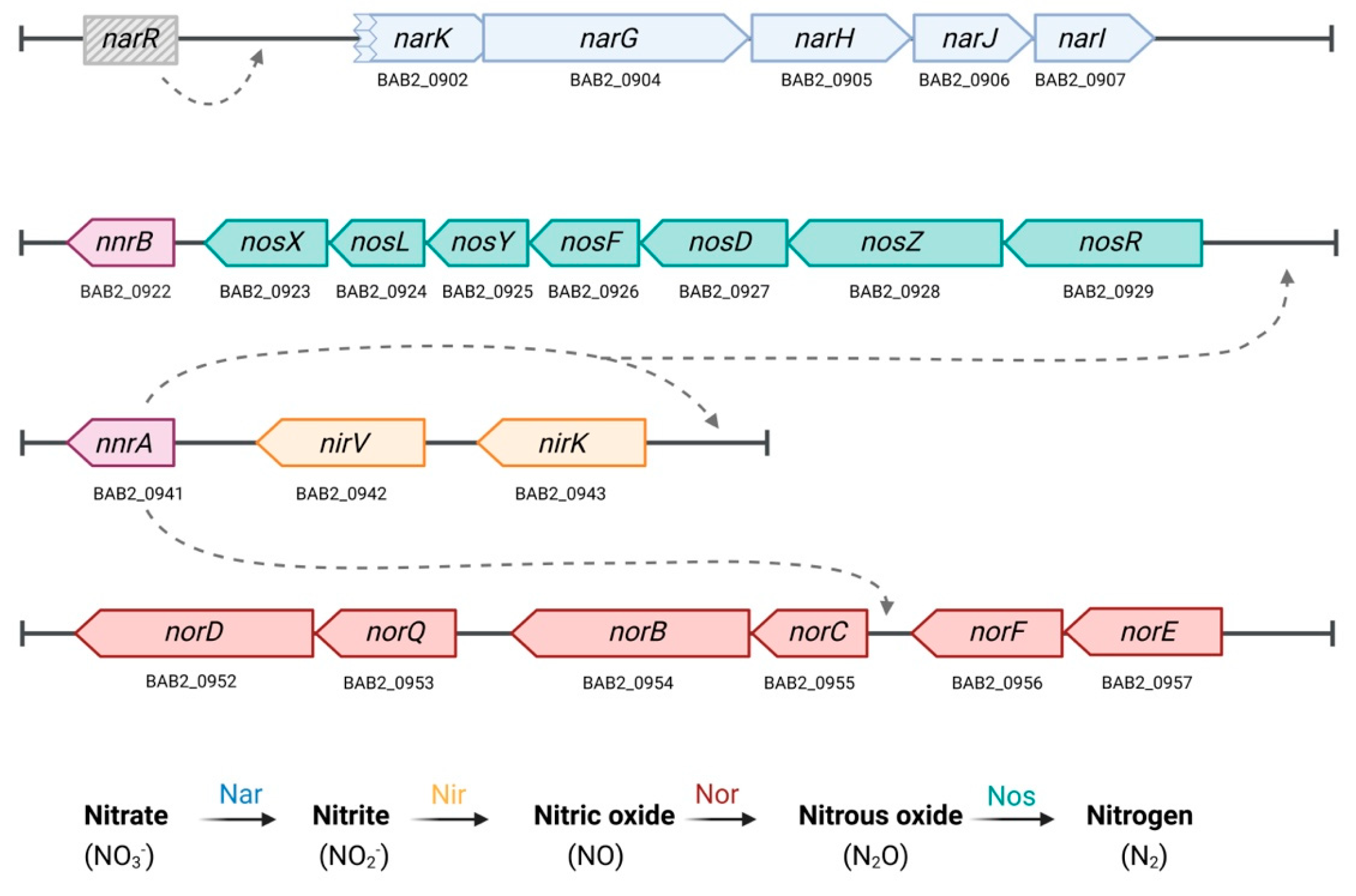 Microorganisms 13 02875 g001