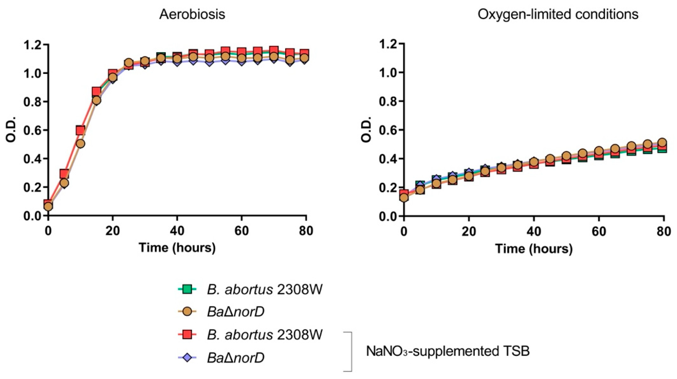 Microorganisms 13 02875 g003