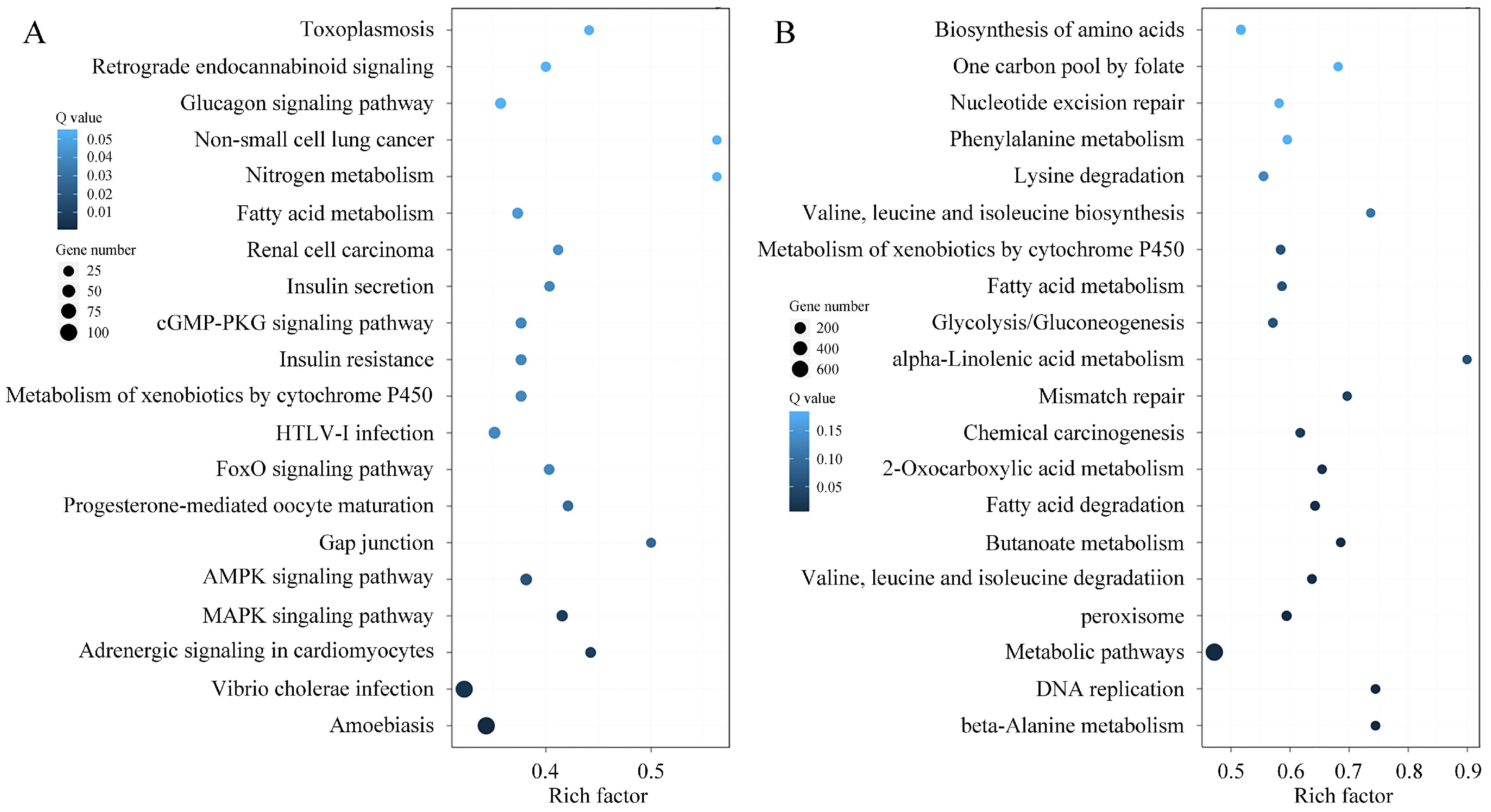 Microorganisms 13 02879 g008 Microorganisms 13 02879 g008