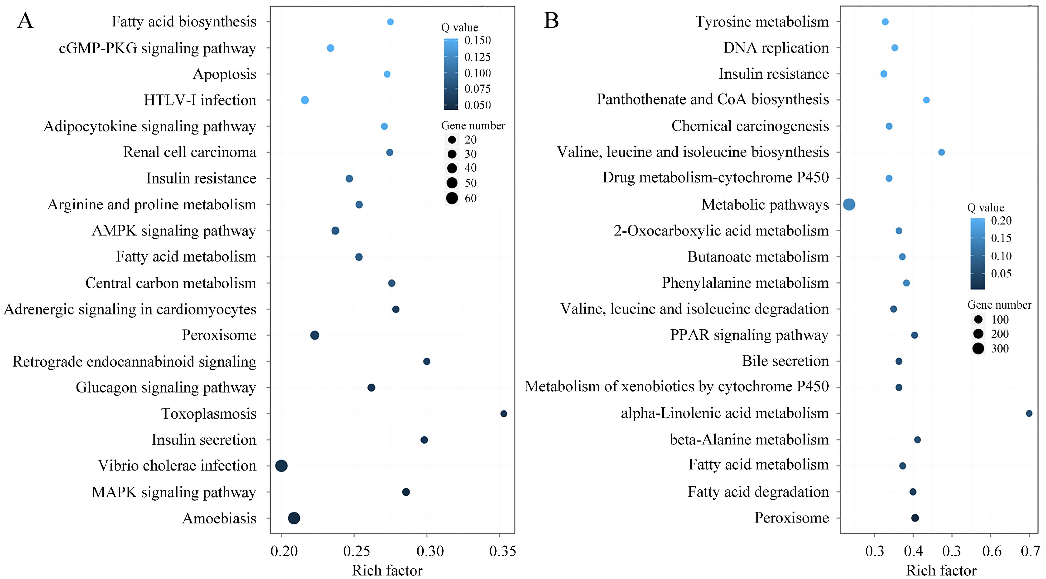 Microorganisms 13 02879 g011 Microorganisms 13 02879 g011