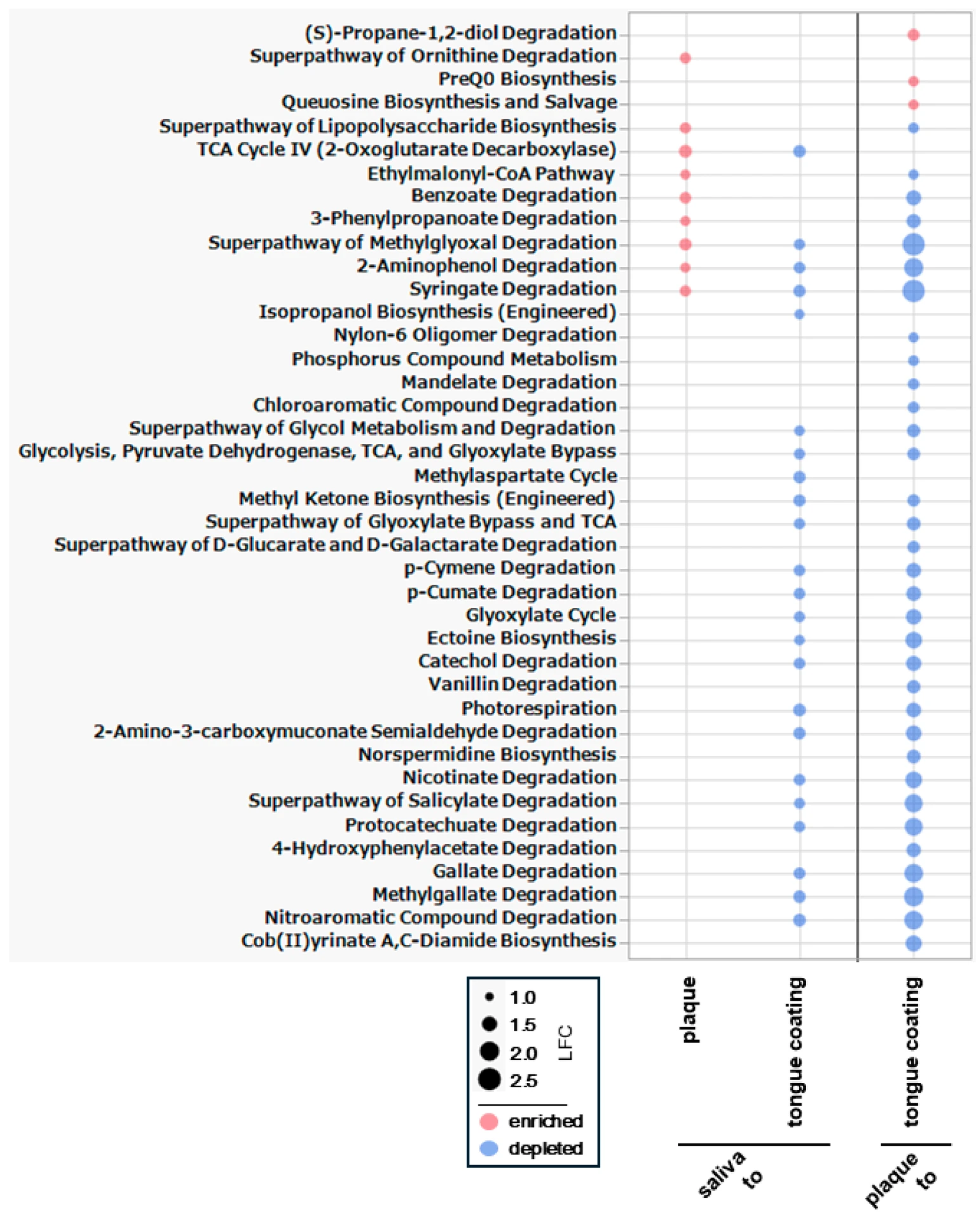 Microorganisms 14 00002 g011