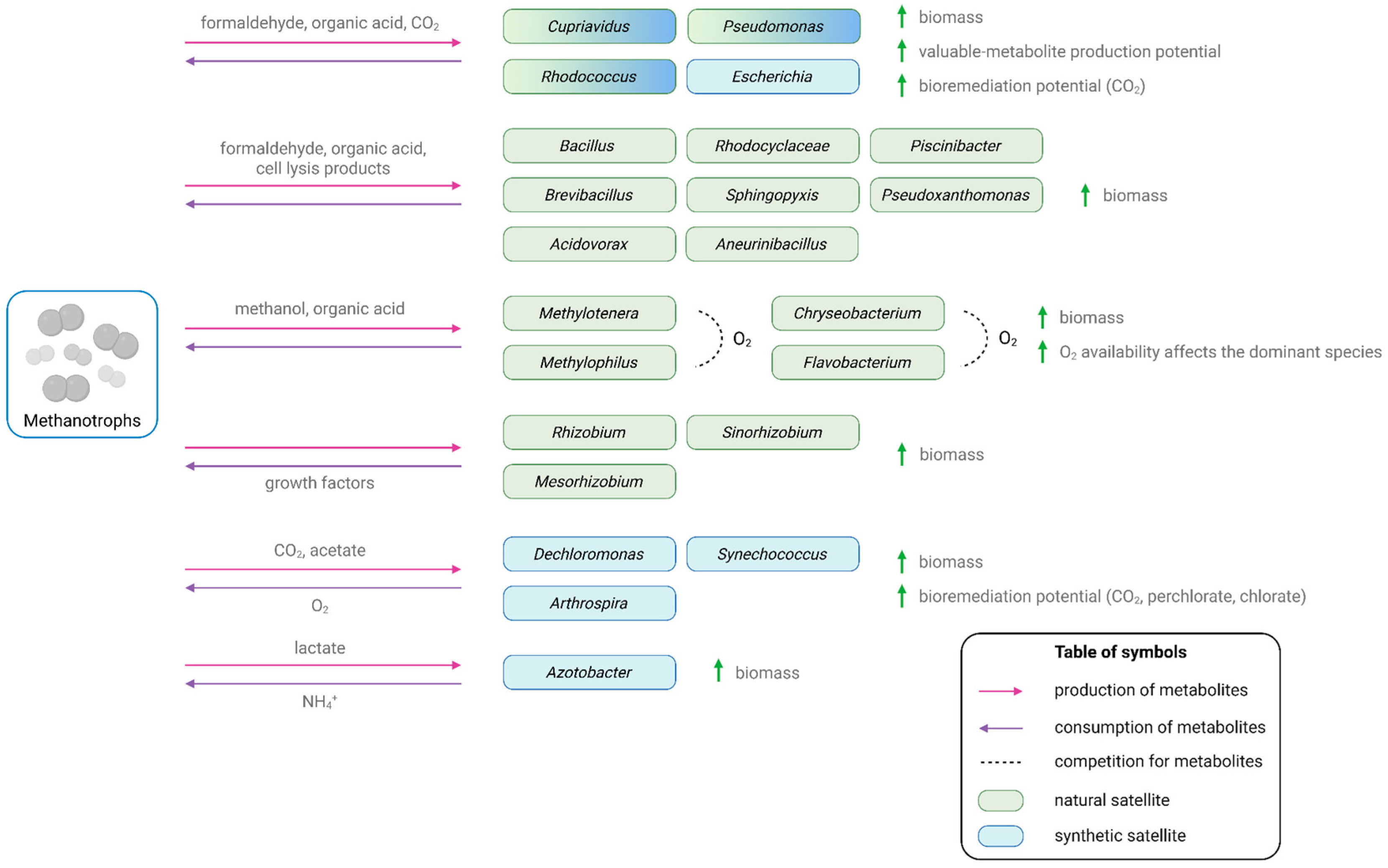 Microorganisms 14 00003 g001
