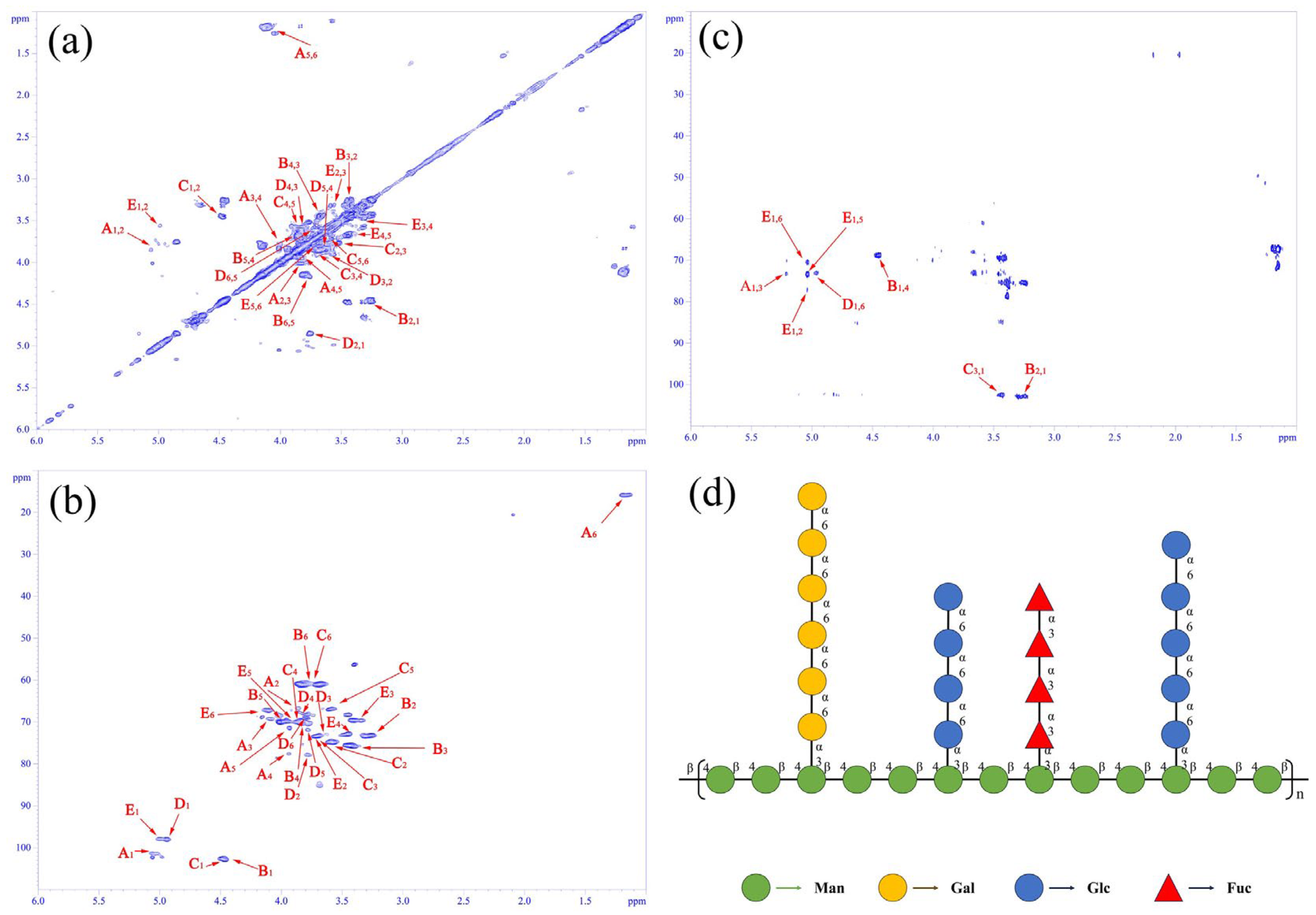 Microorganisms 14 00004 g004