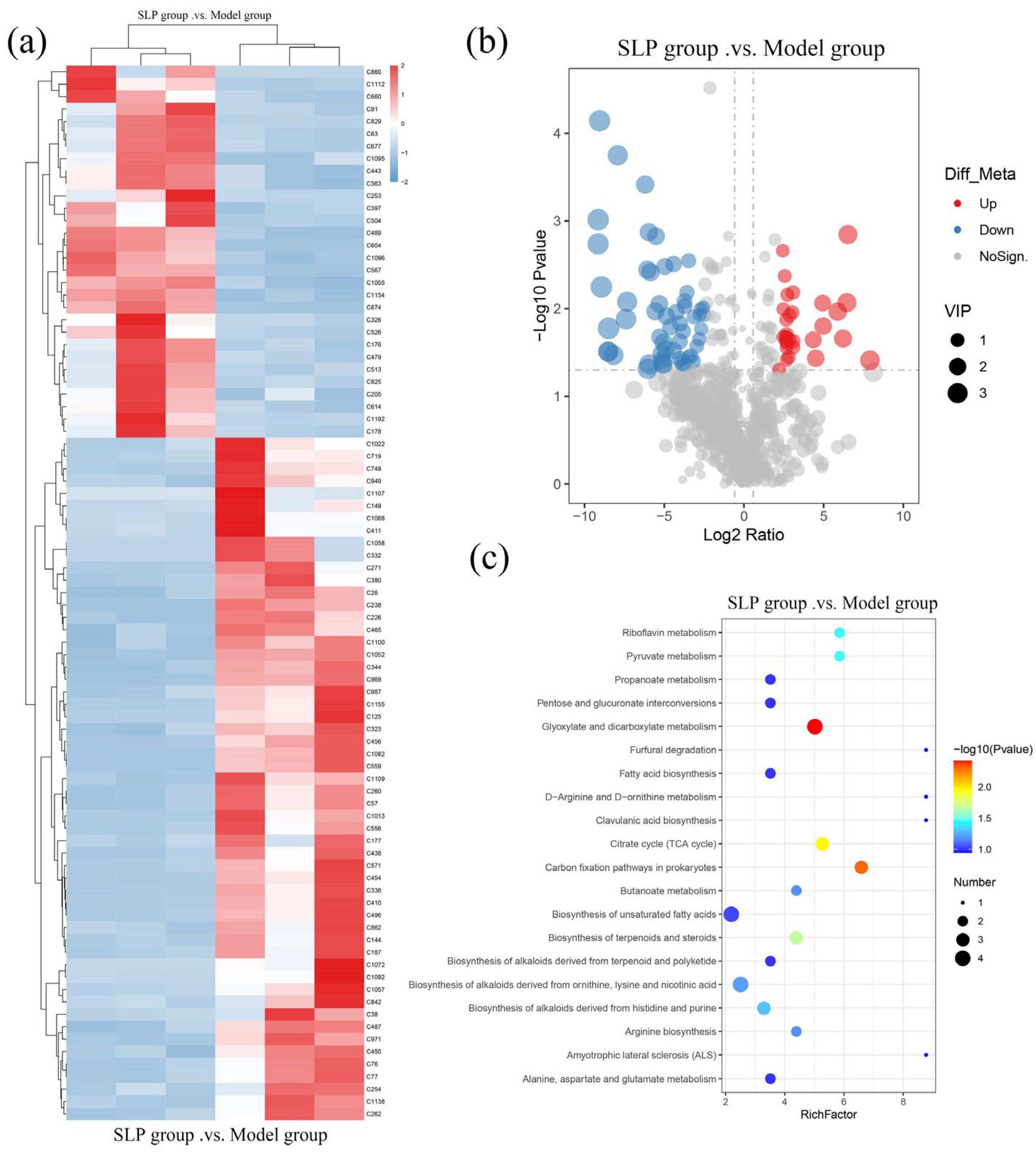 Microorganisms 14 00004 g007