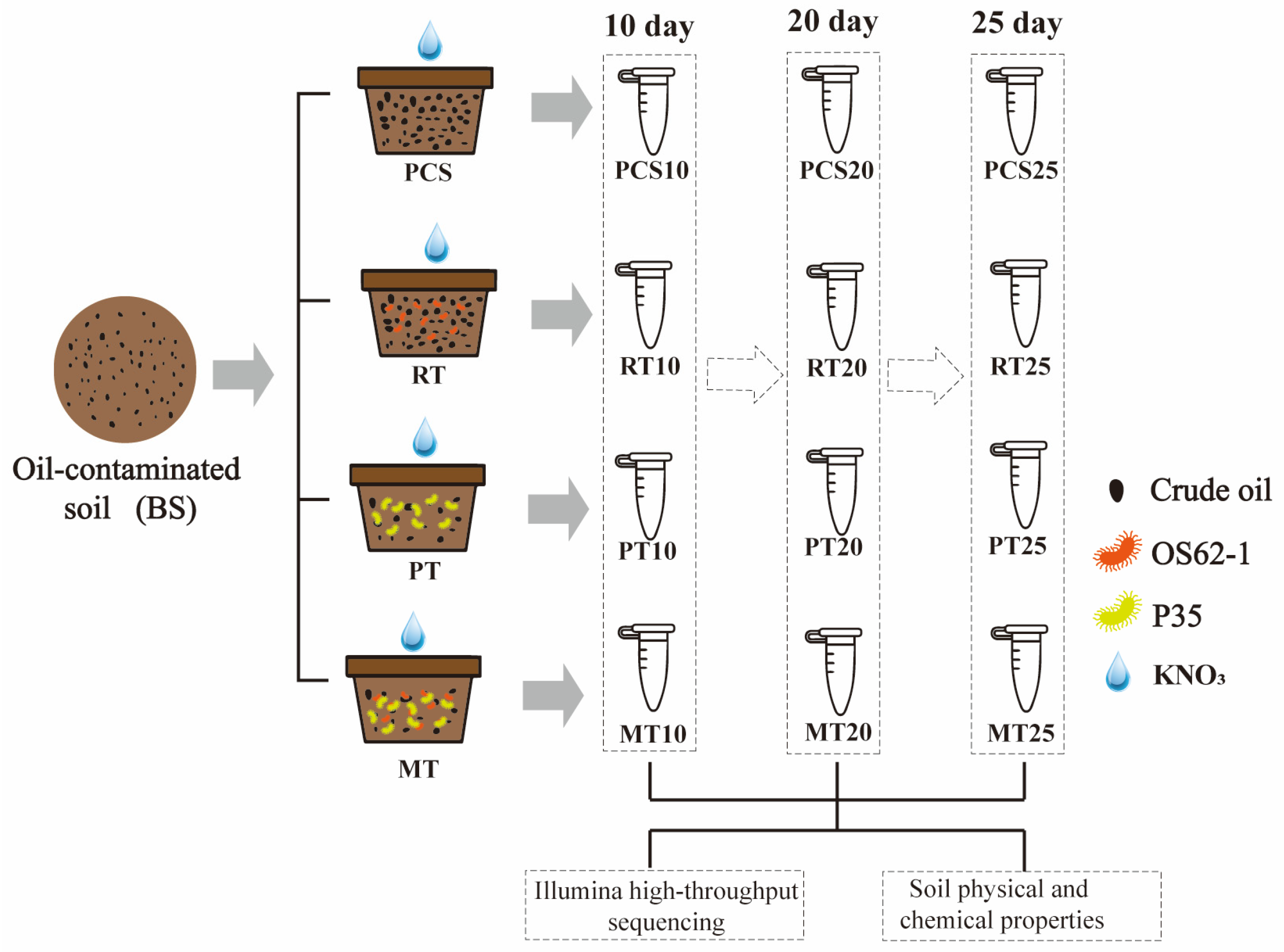 Microorganisms 14 00007 g001