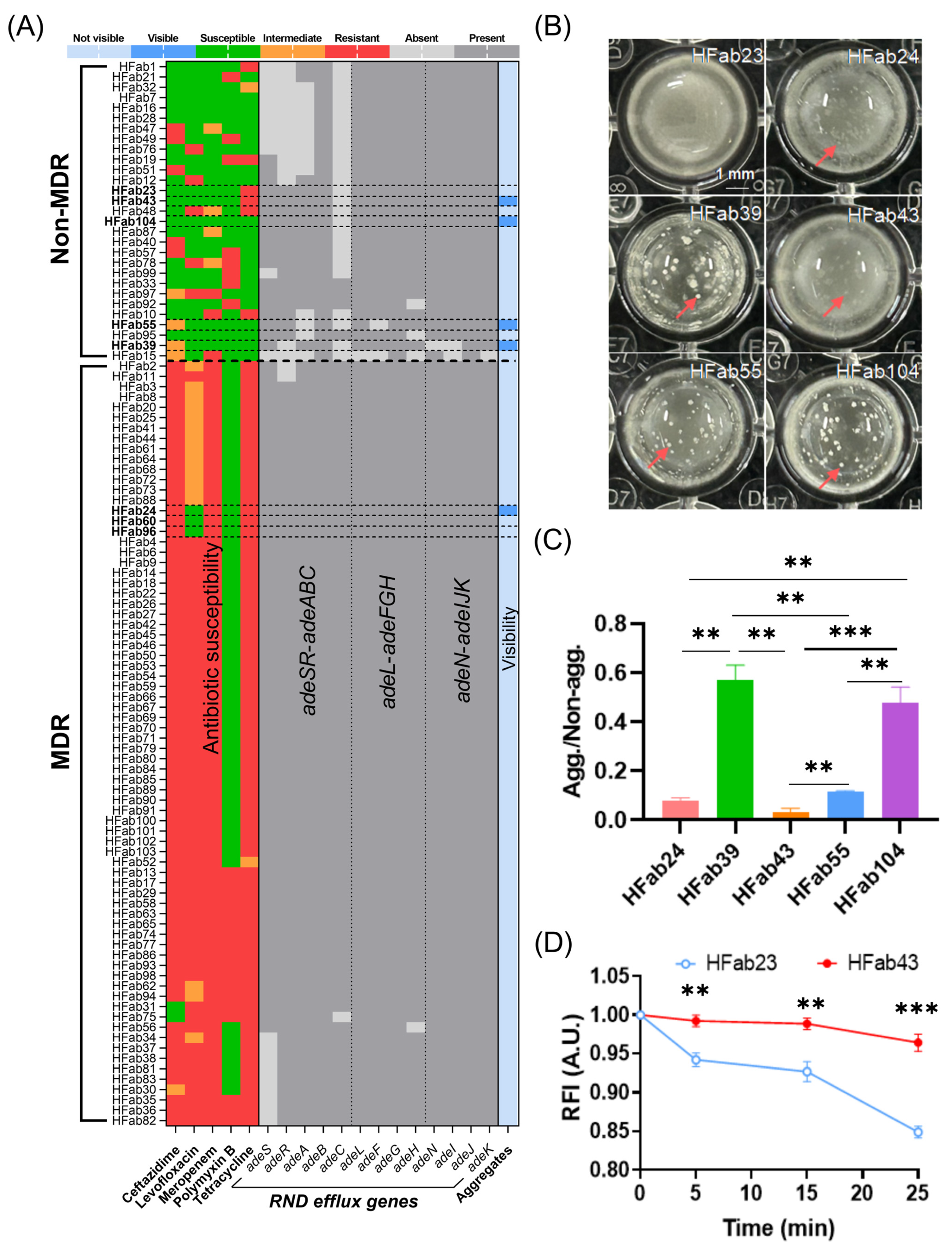 Microorganisms 14 00008 g001