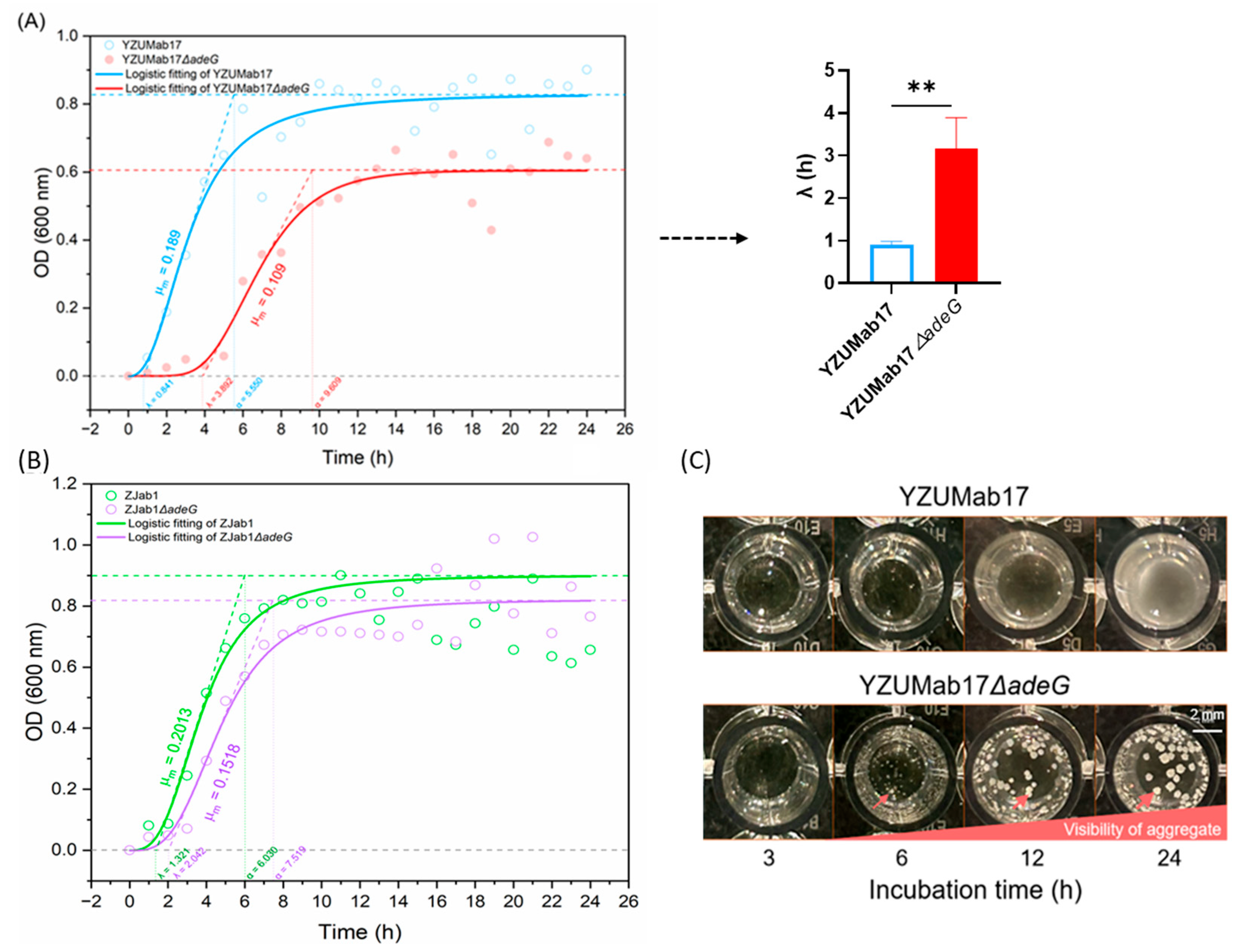Microorganisms 14 00008 g003