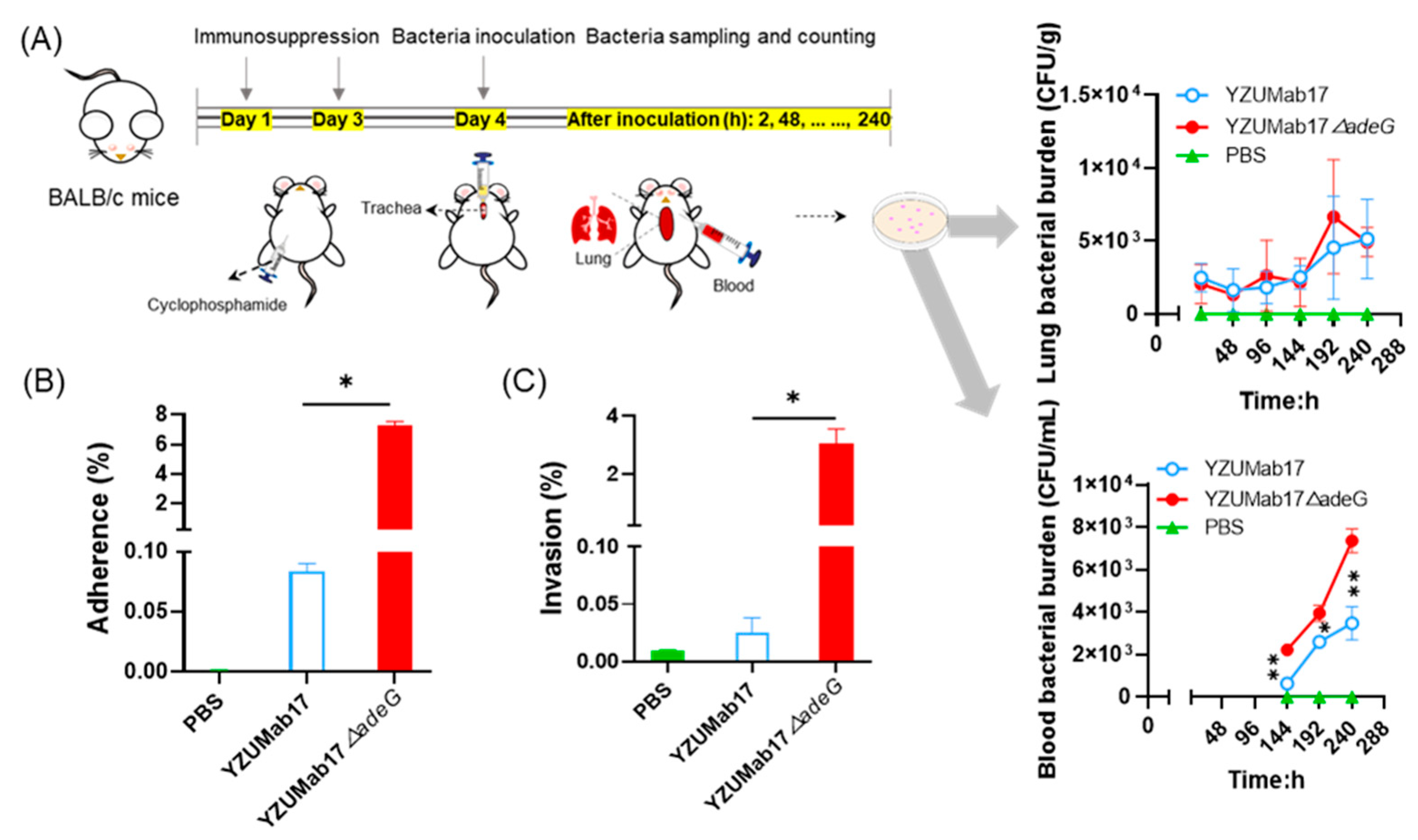 Microorganisms 14 00008 g007