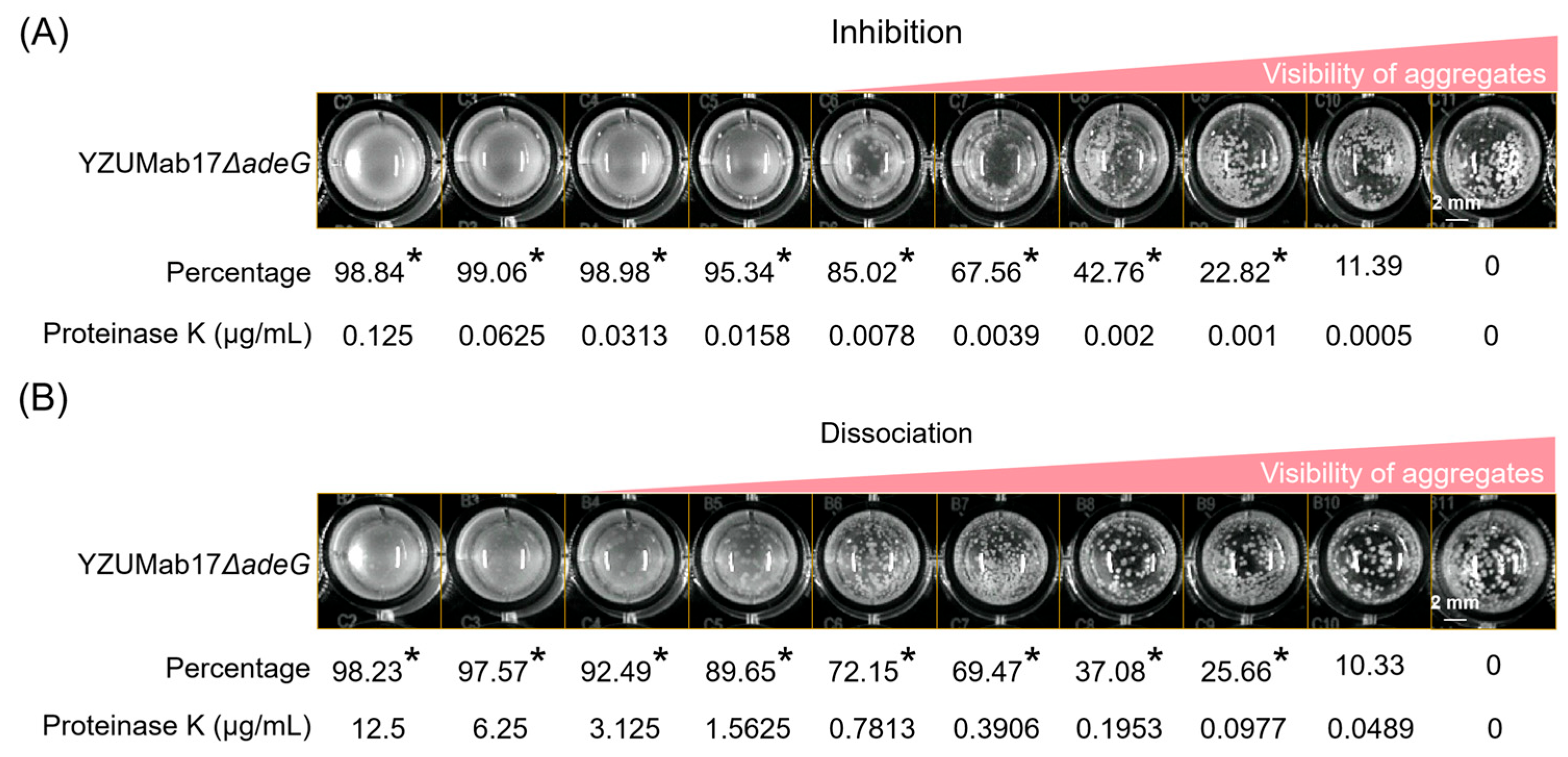 Microorganisms 14 00008 g011
