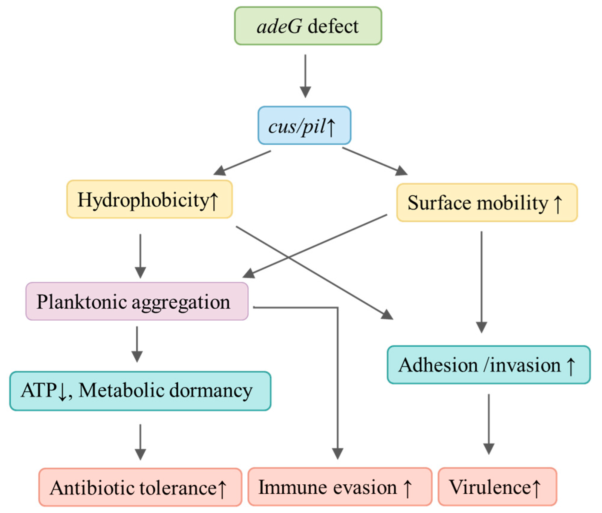 Microorganisms 14 00008 g013
