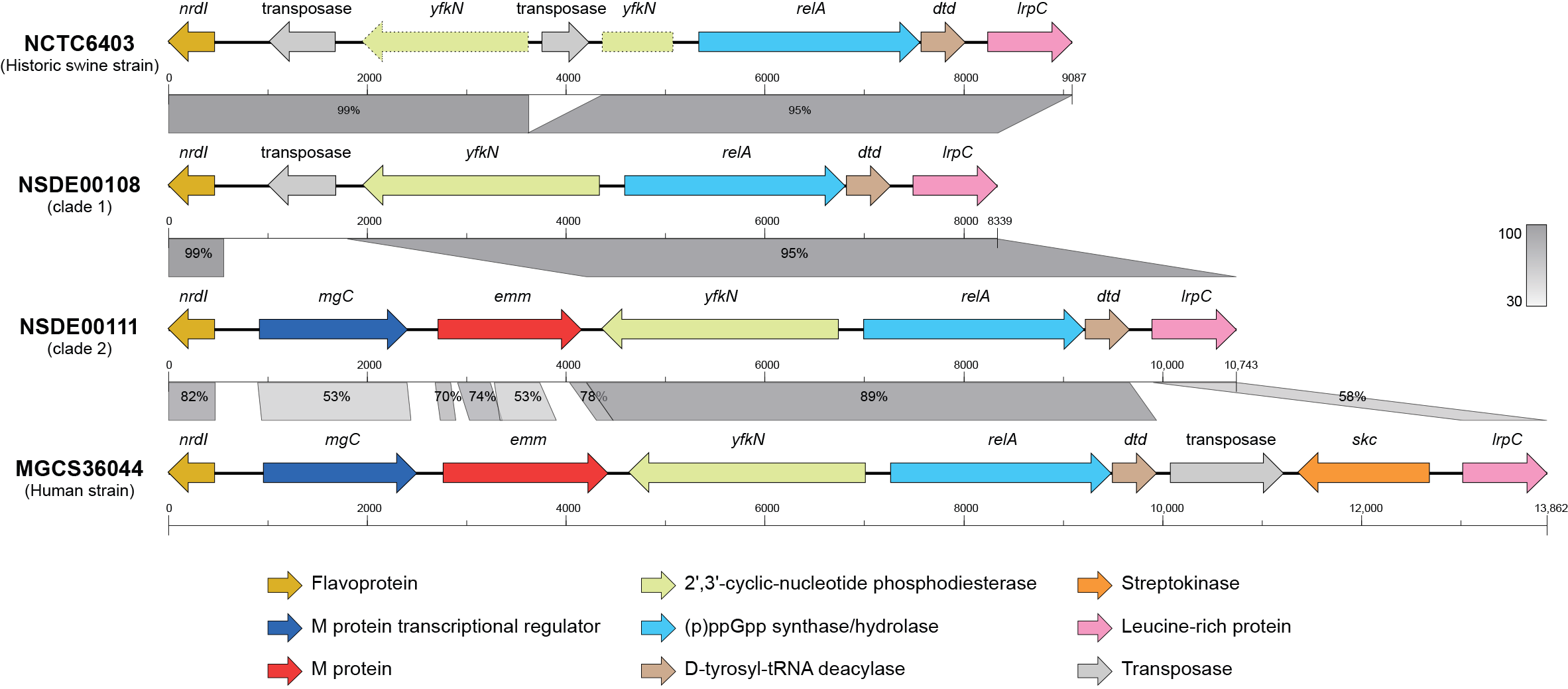 Microorganisms 14 00009 g004