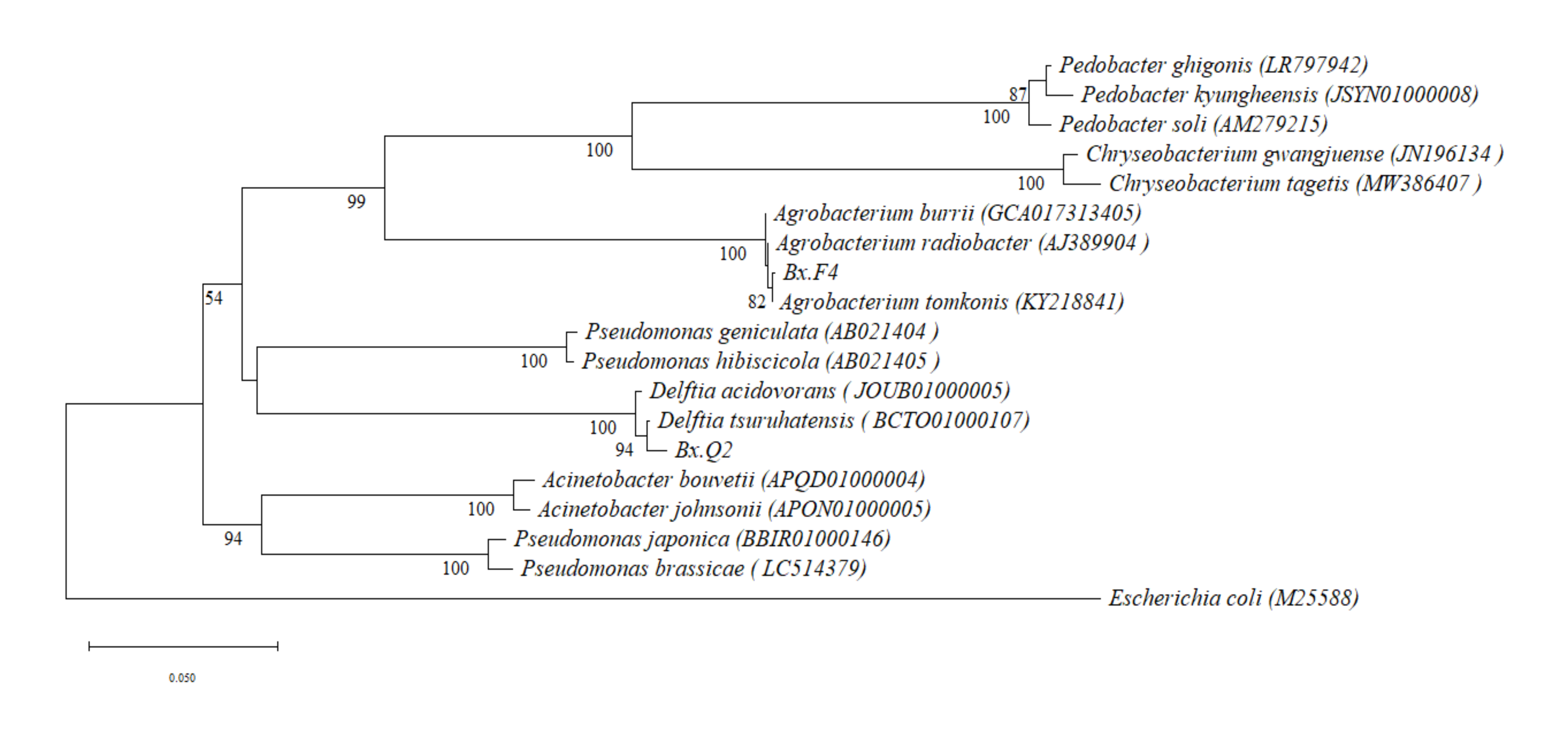 Microorganisms 14 00010 g001