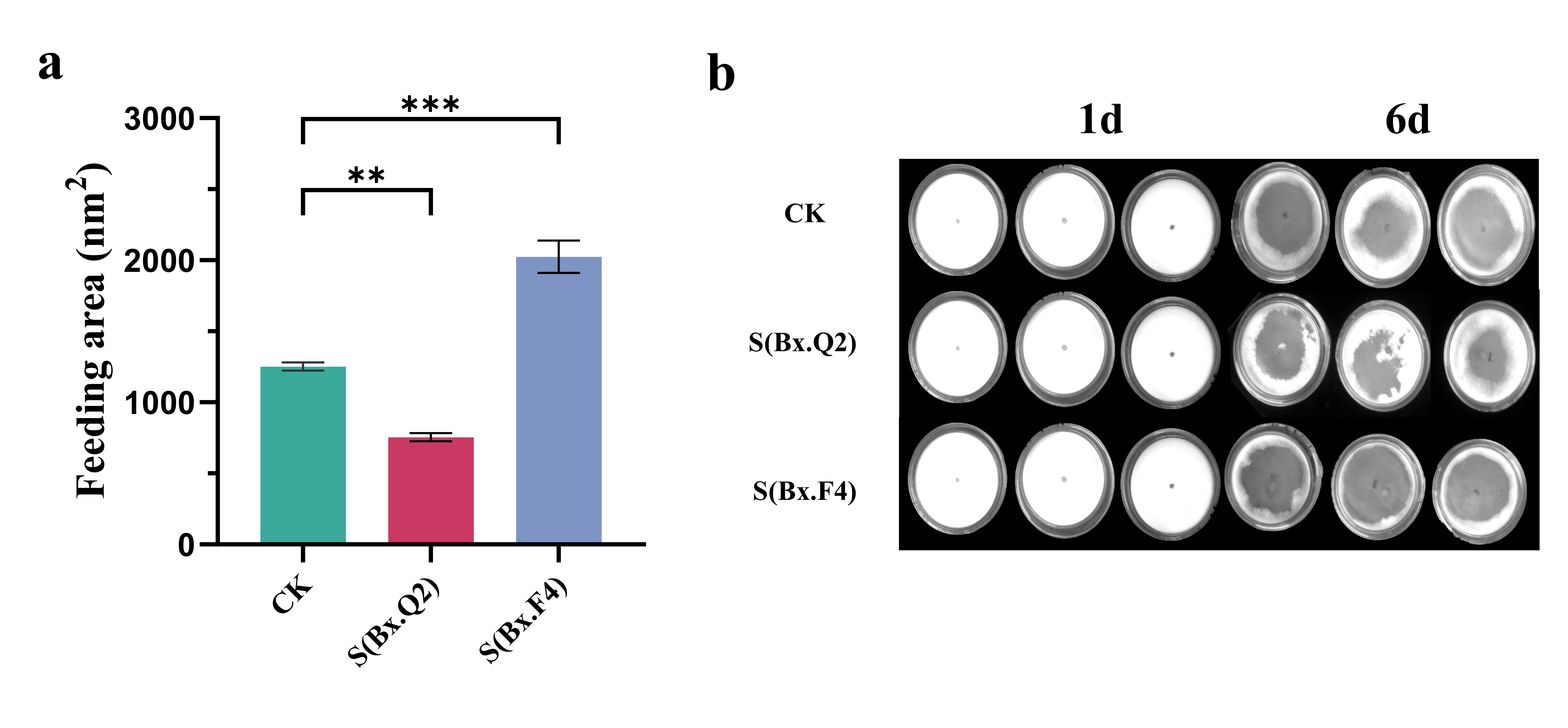 Microorganisms 14 00010 g003