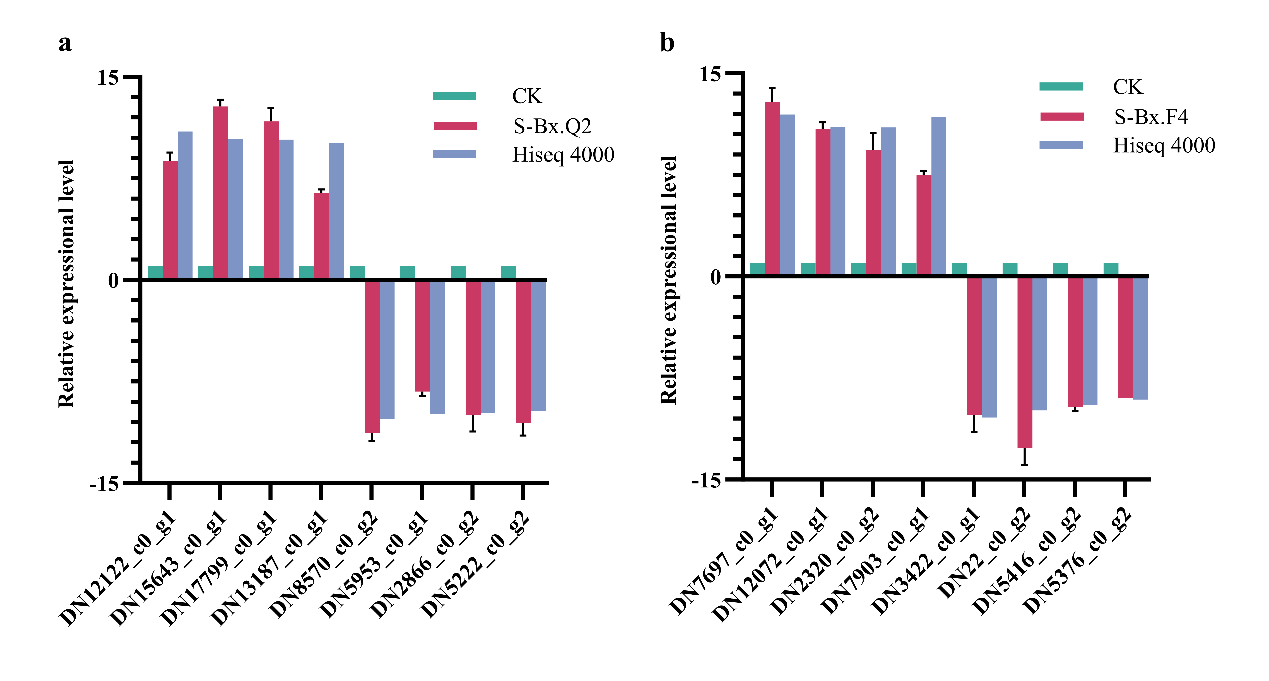 Microorganisms 14 00010 g010