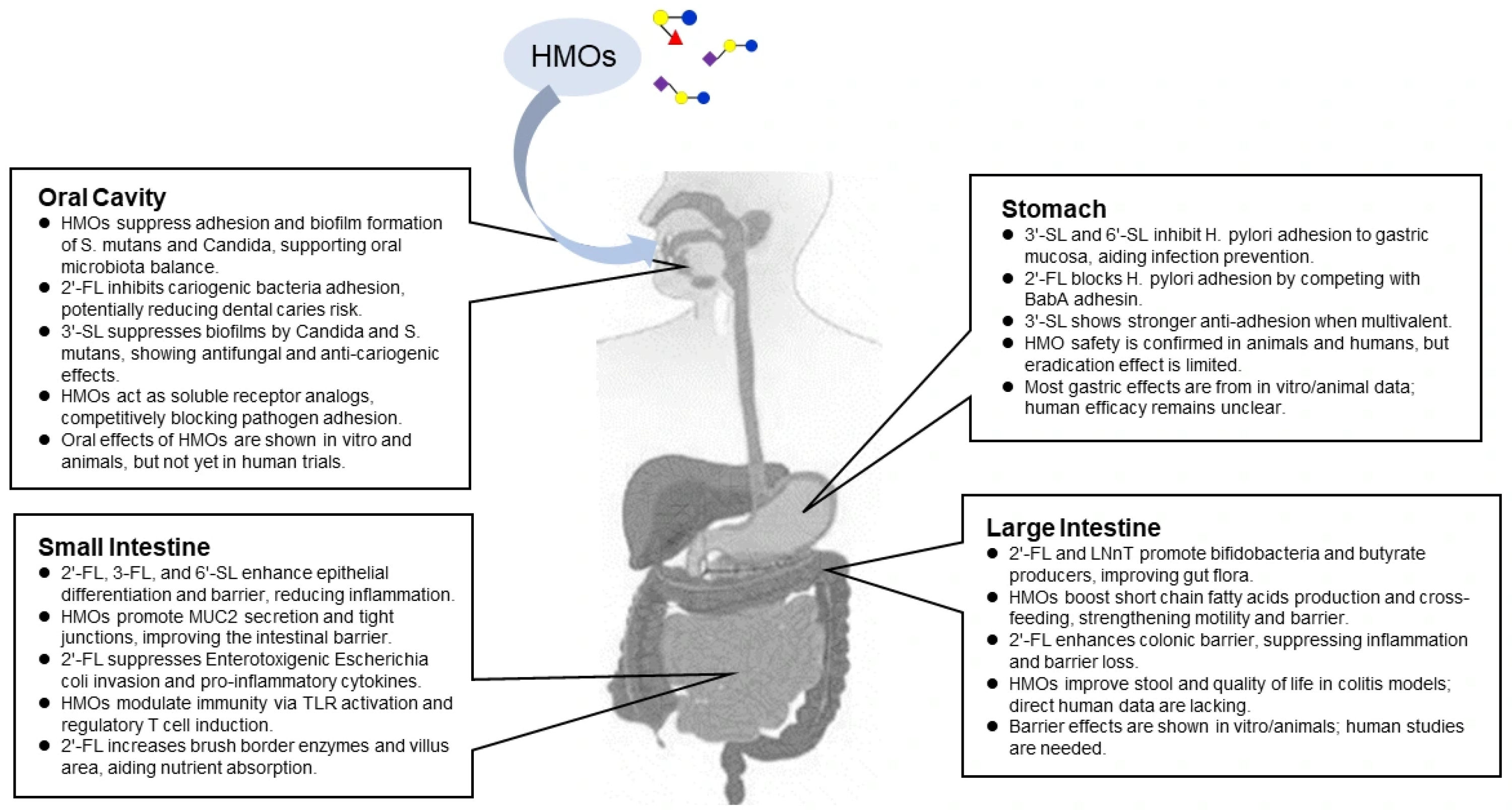 Microorganisms 14 00029 g002 Microorganisms 14 00029 g002