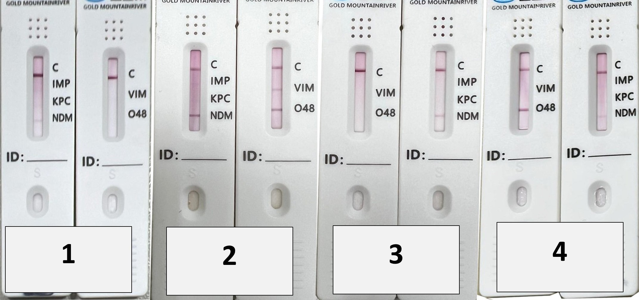 Microorganisms 14 00031 g001