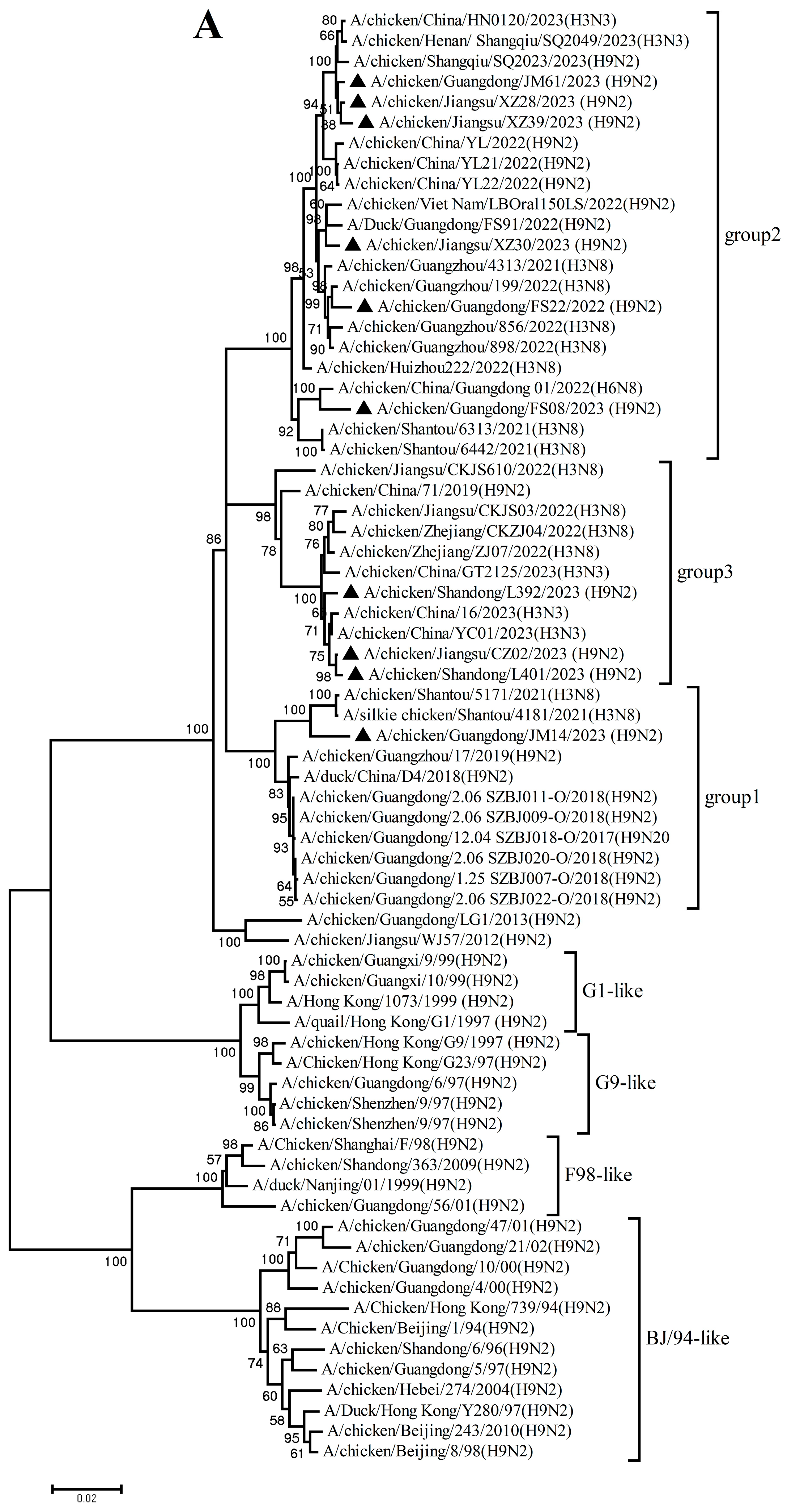 Microorganisms 14 00037 g002a
