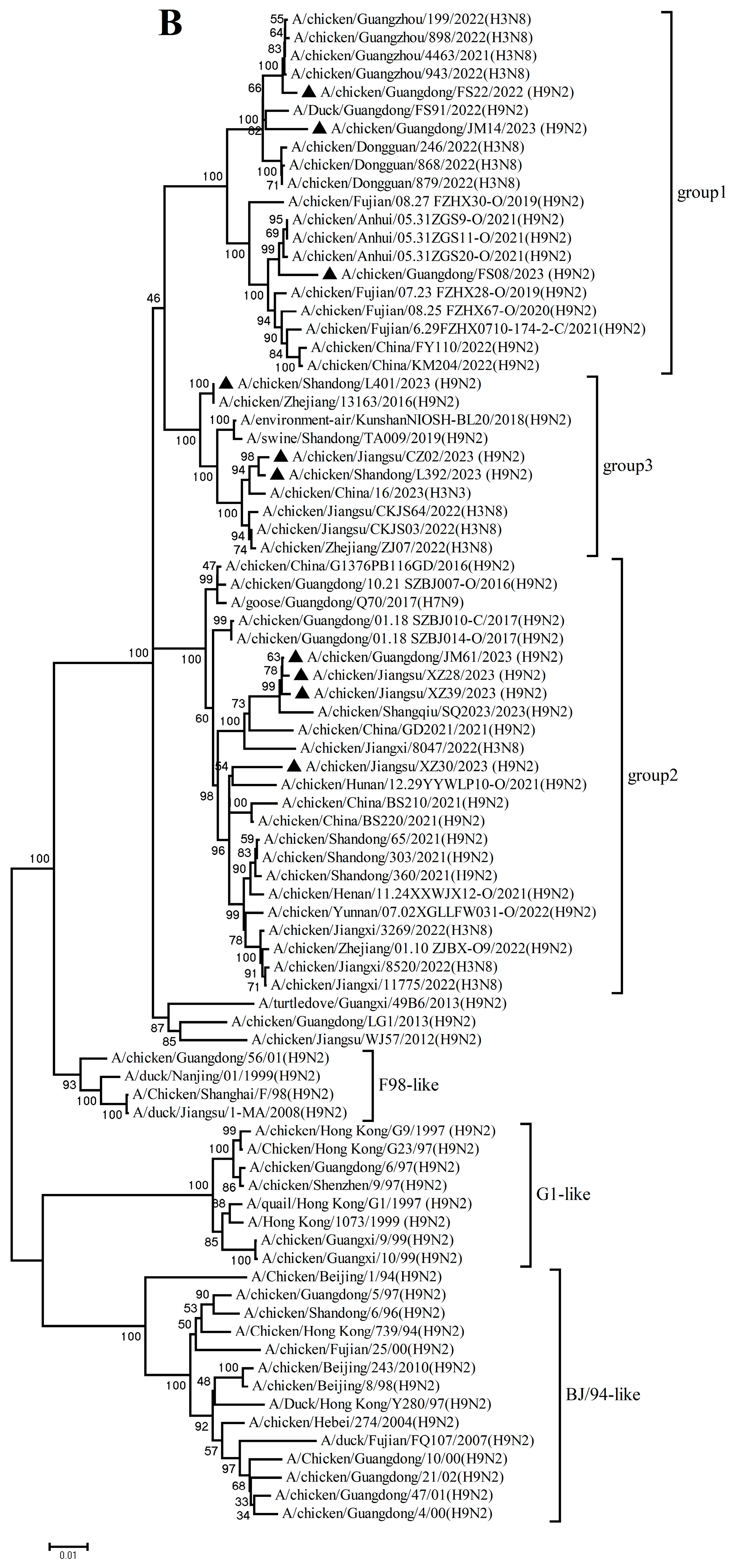 Microorganisms 14 00037 g002b