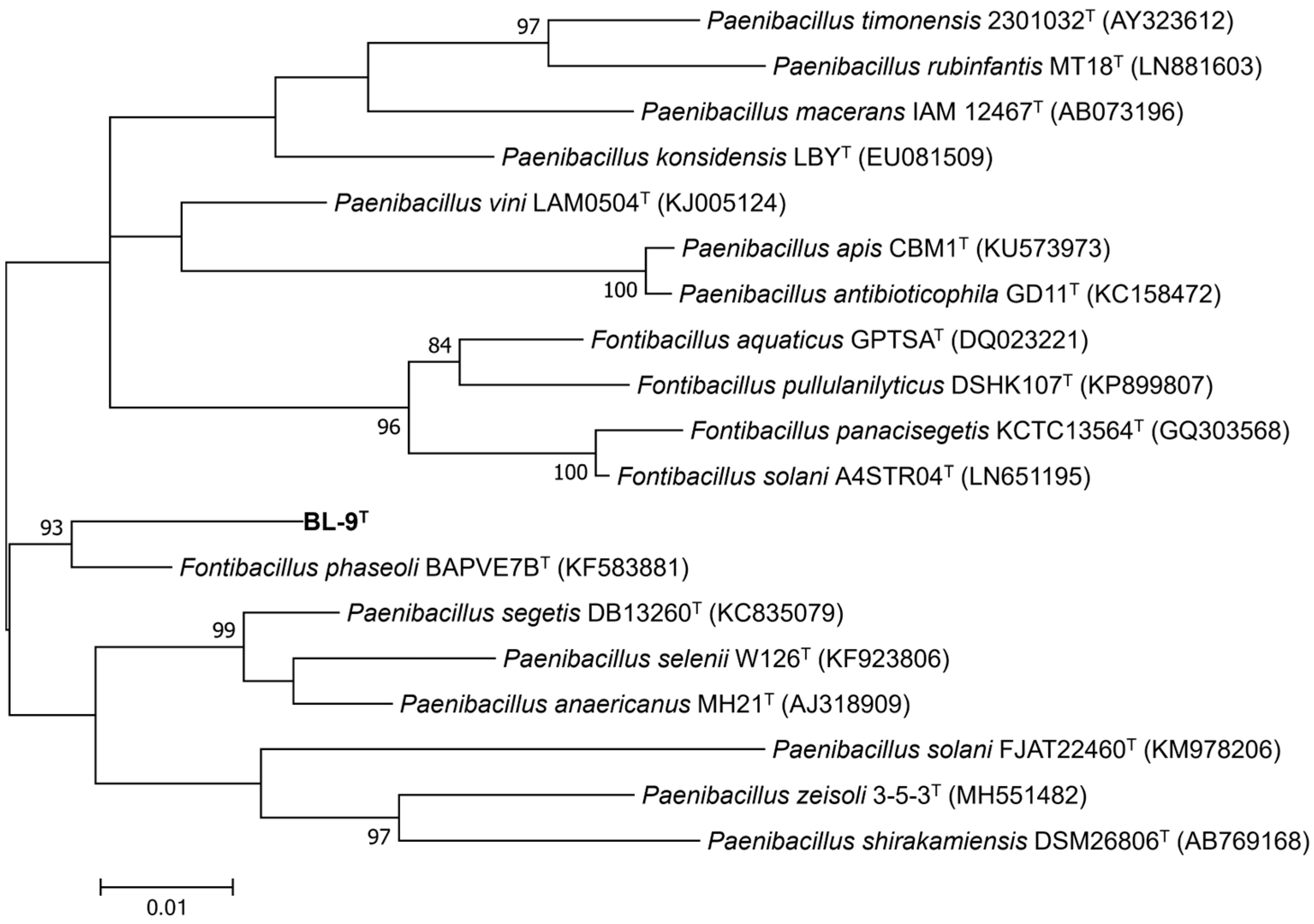 Microorganisms 14 00049 g001