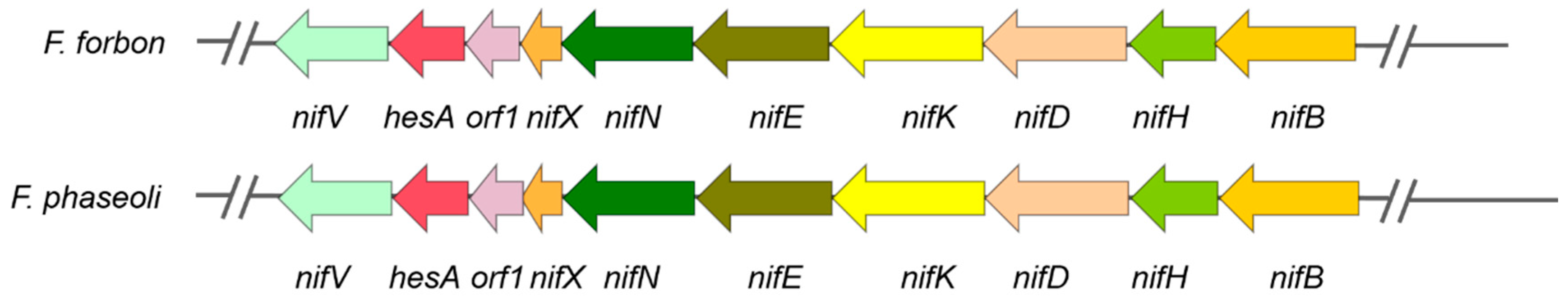 Microorganisms 14 00049 g003