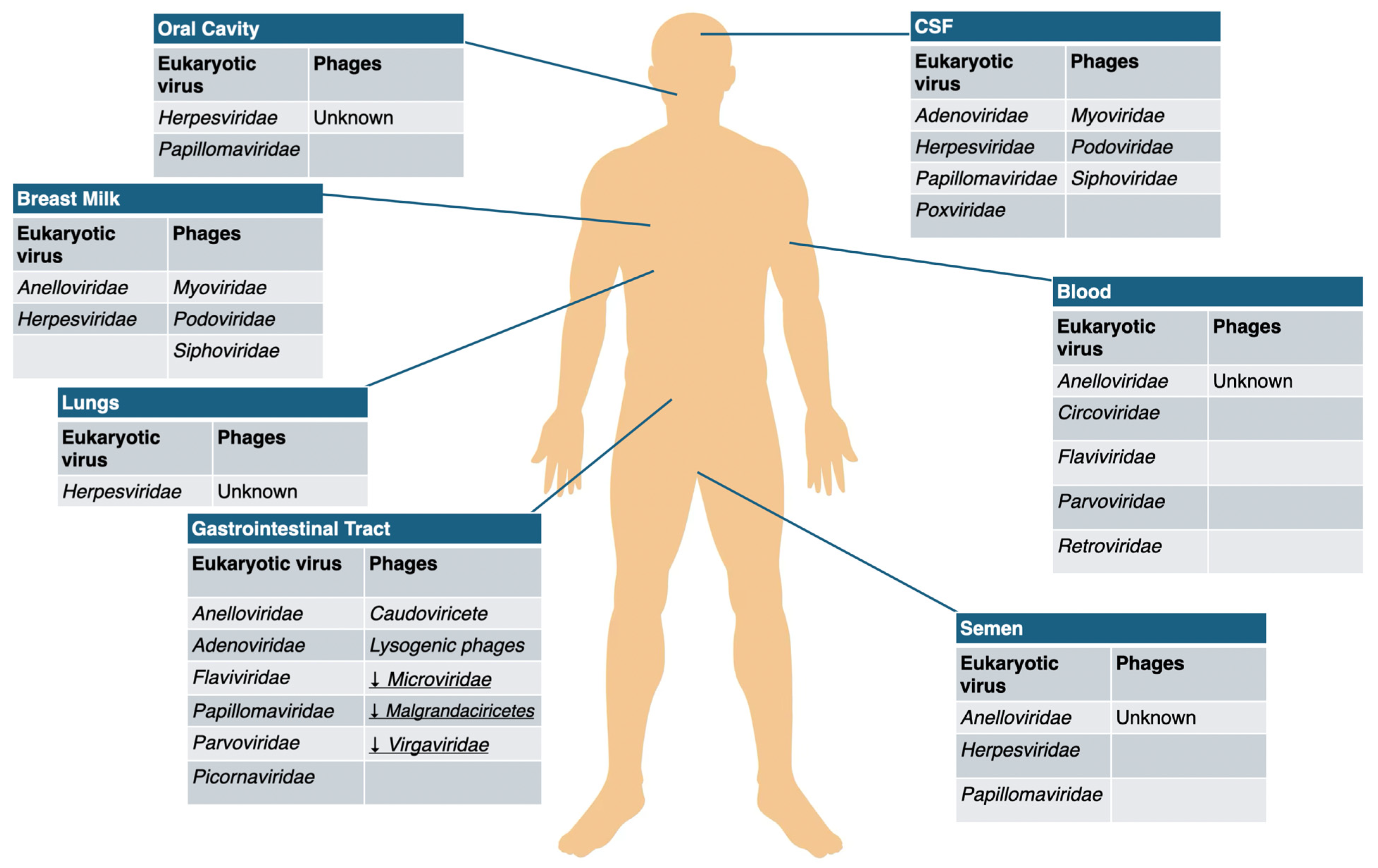 Microorganisms 14 00050 g001